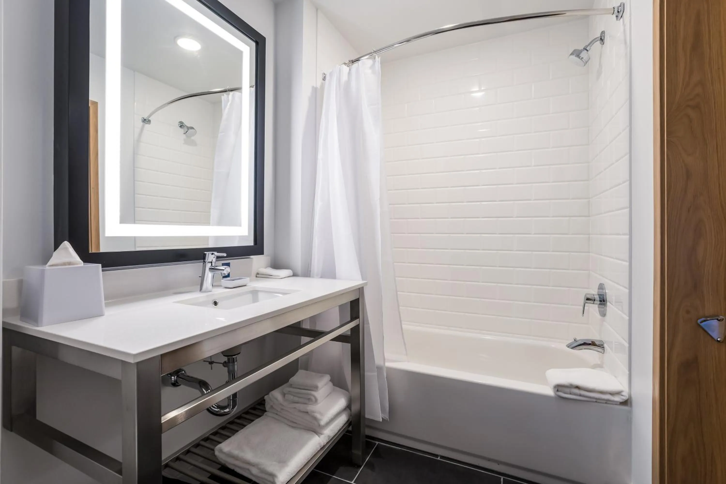 Bathroom in Four Points by Sheraton Elkhart