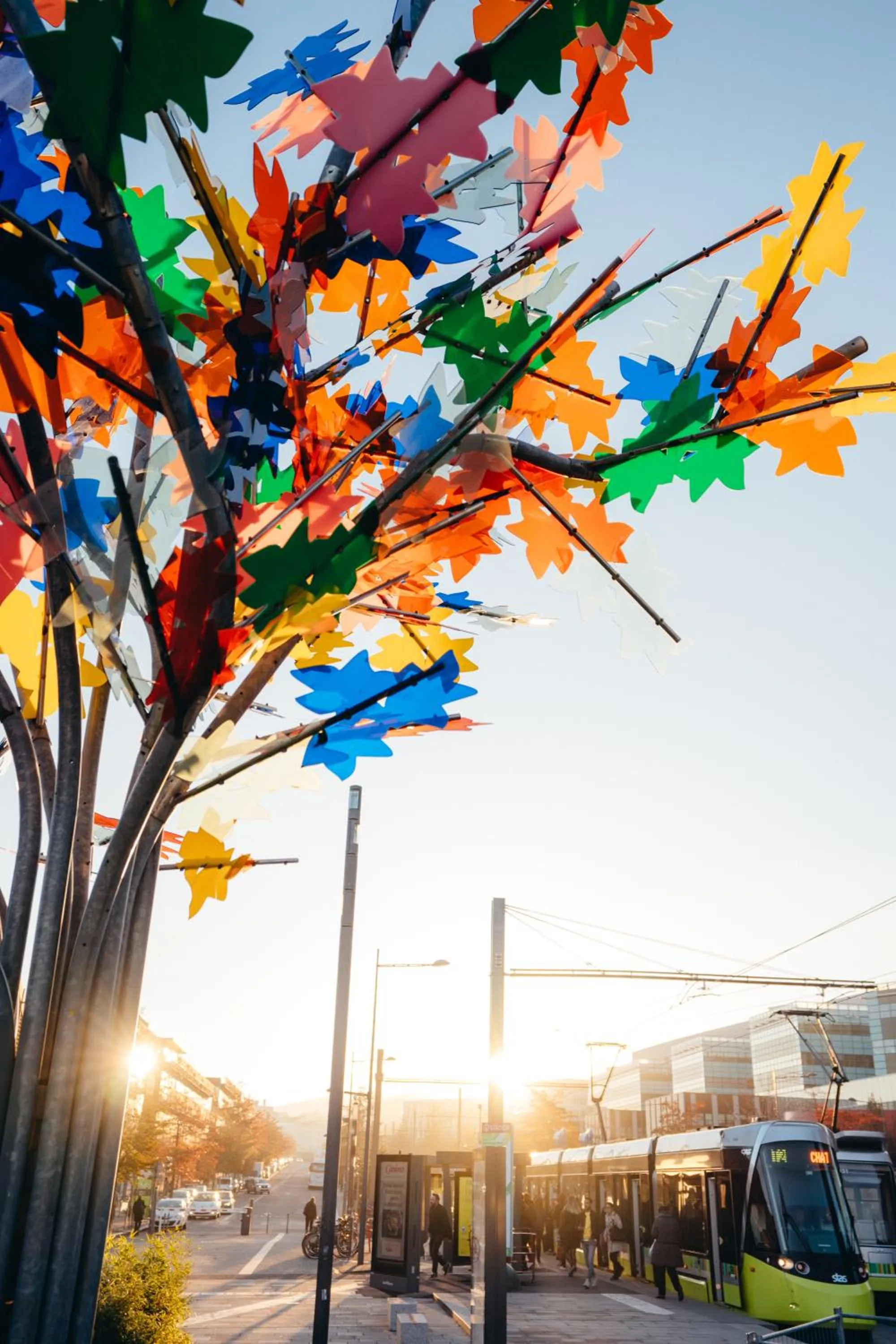 Entertainment in ibis budget Saint-Étienne Centre Gare Châteaucreux