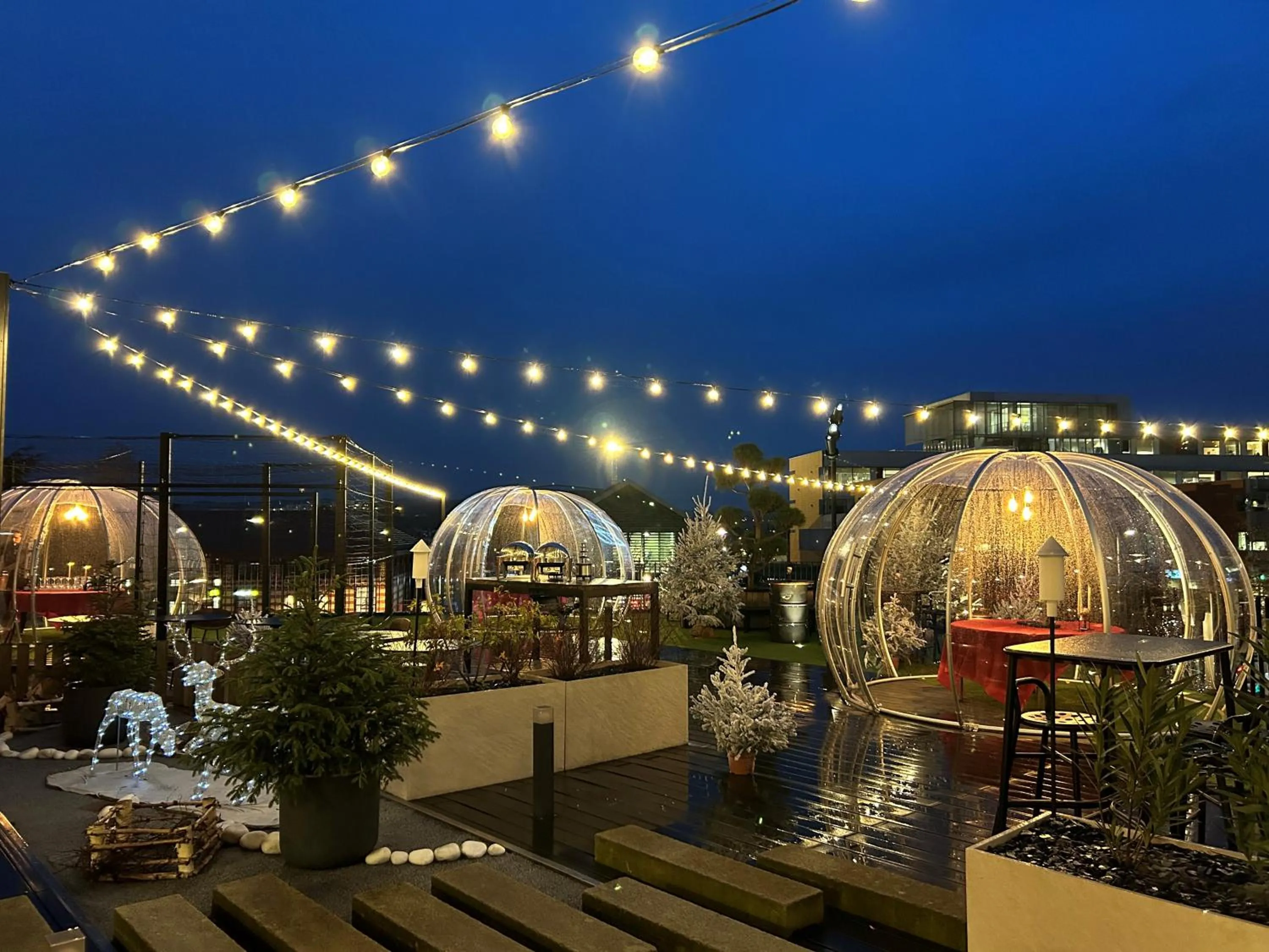 Patio in Novotel Saint-Étienne Centre Gare Châteaucreux