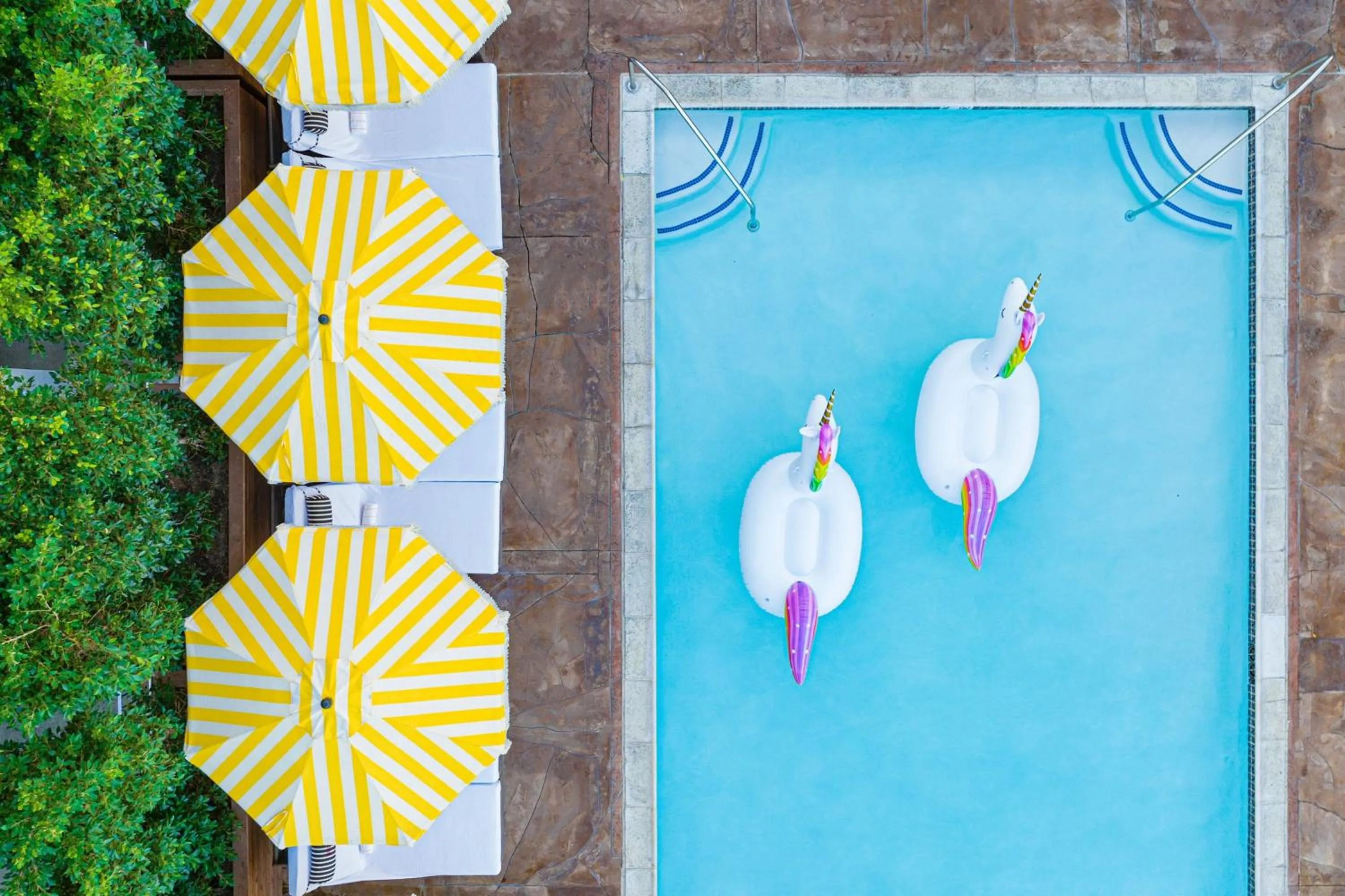 Swimming pool in Hotel Dena, Pasadena Los Angeles, a Tribute Portfolio Hotel