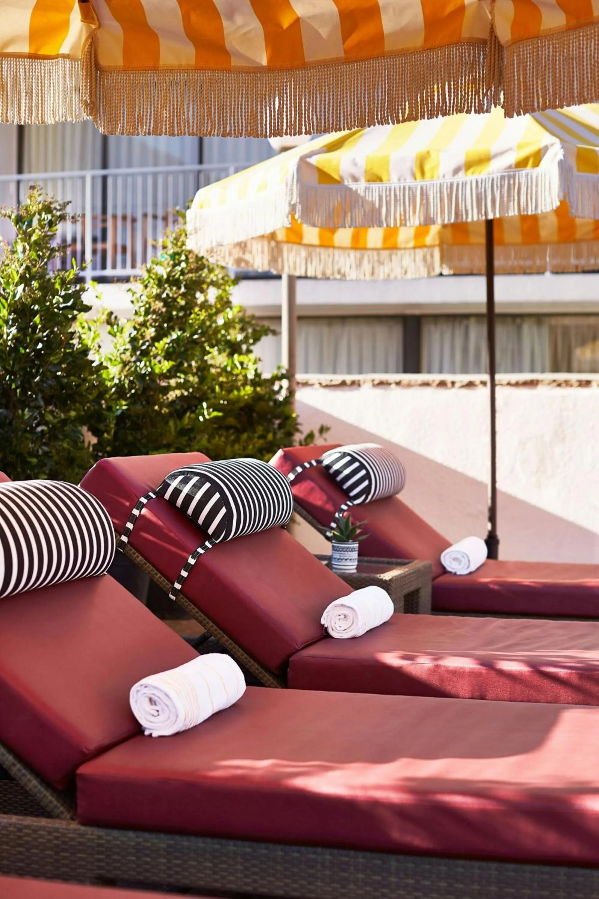 Swimming pool in Hotel Dena, Pasadena Los Angeles, a Tribute Portfolio Hotel