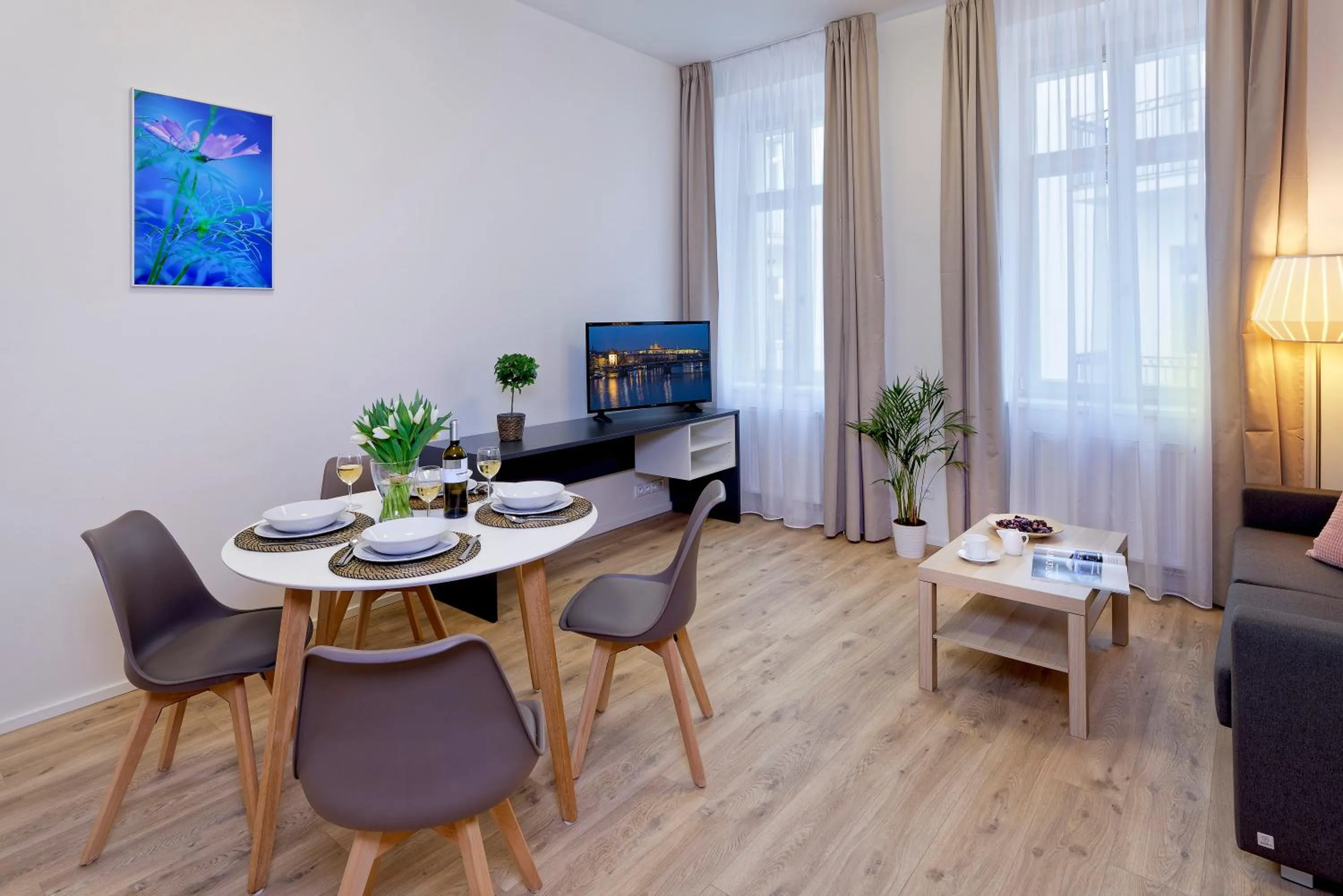 TV and multimedia in DownTown Suites Jugoslavska
