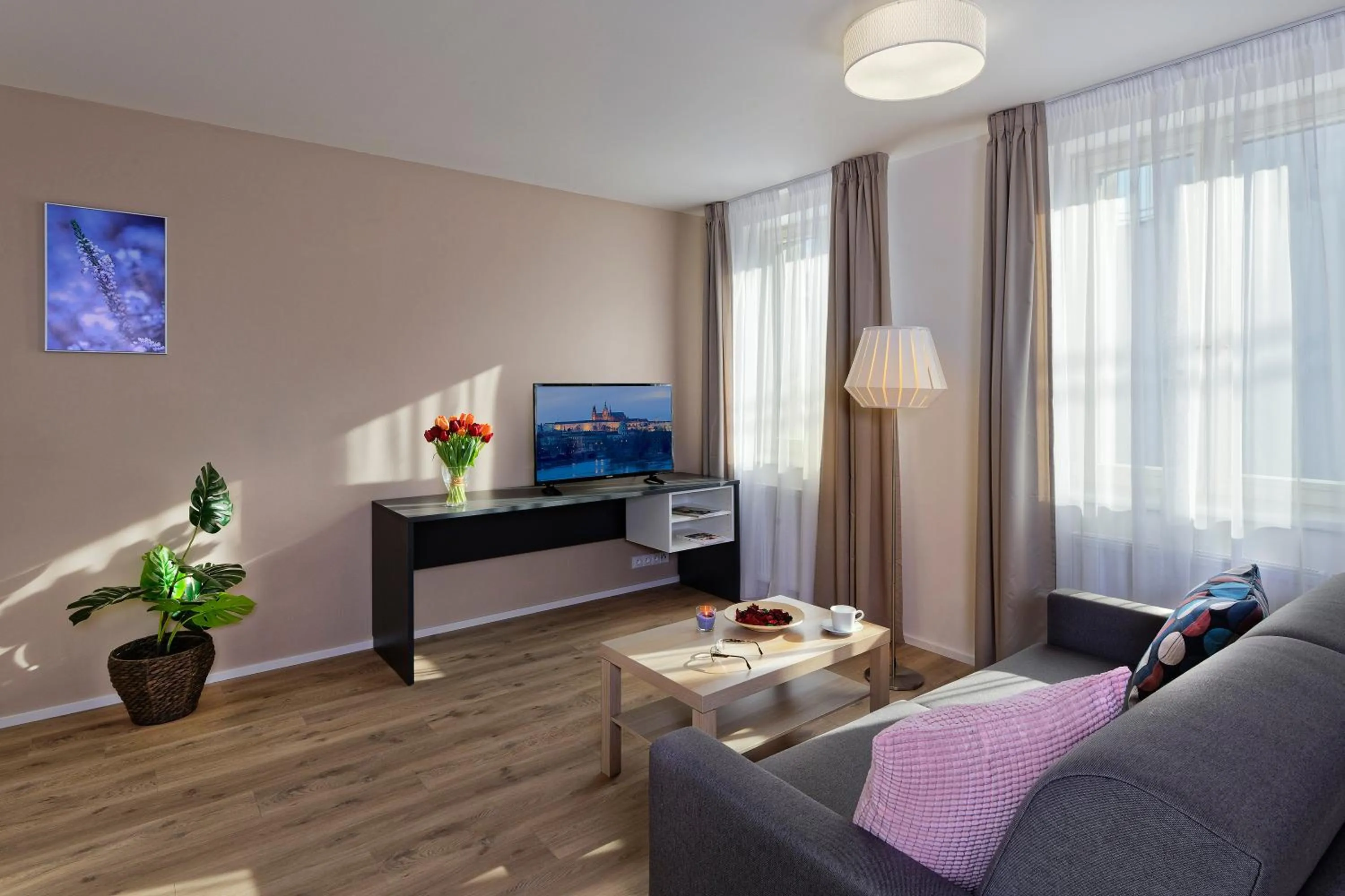TV and multimedia in DownTown Suites Jugoslavska