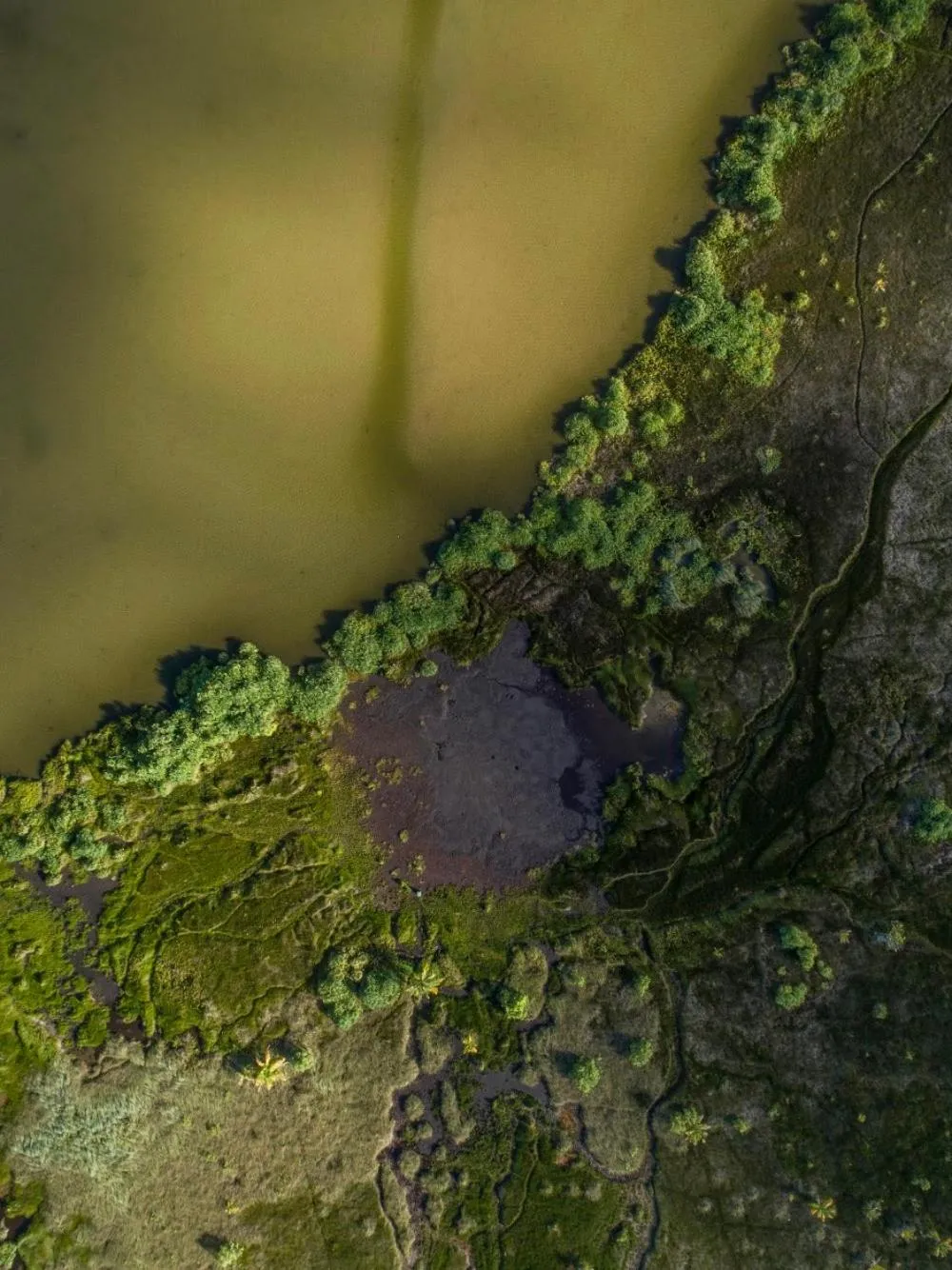 Hiking in Isle Royal Inn