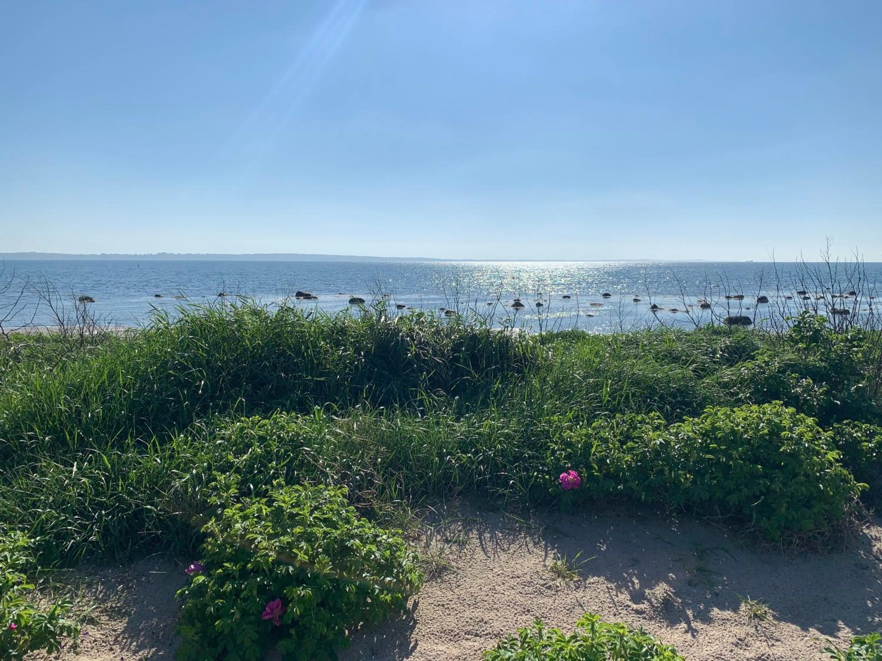 Vingårdens Bed & Breakfast