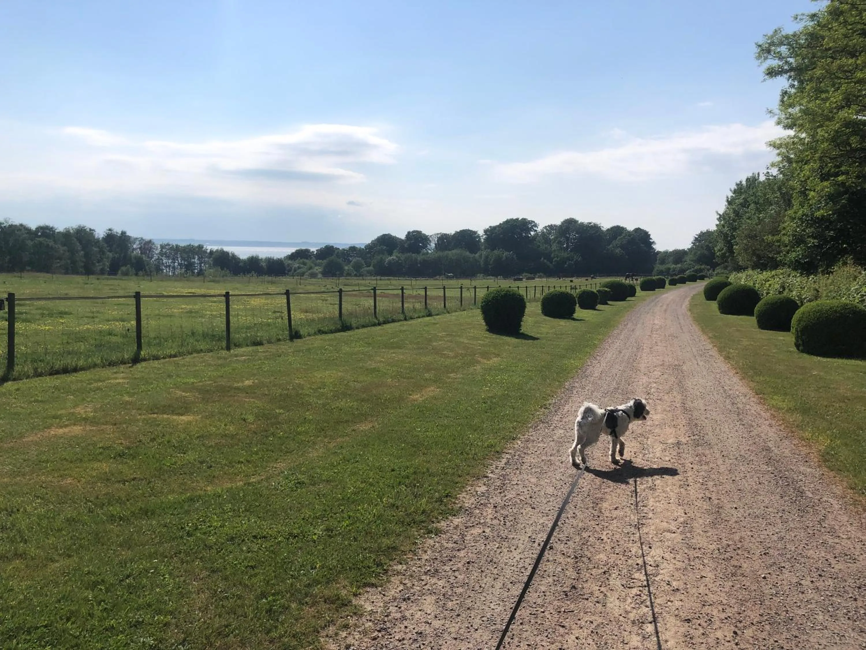 Off site in Vingårdens Bed & Breakfast