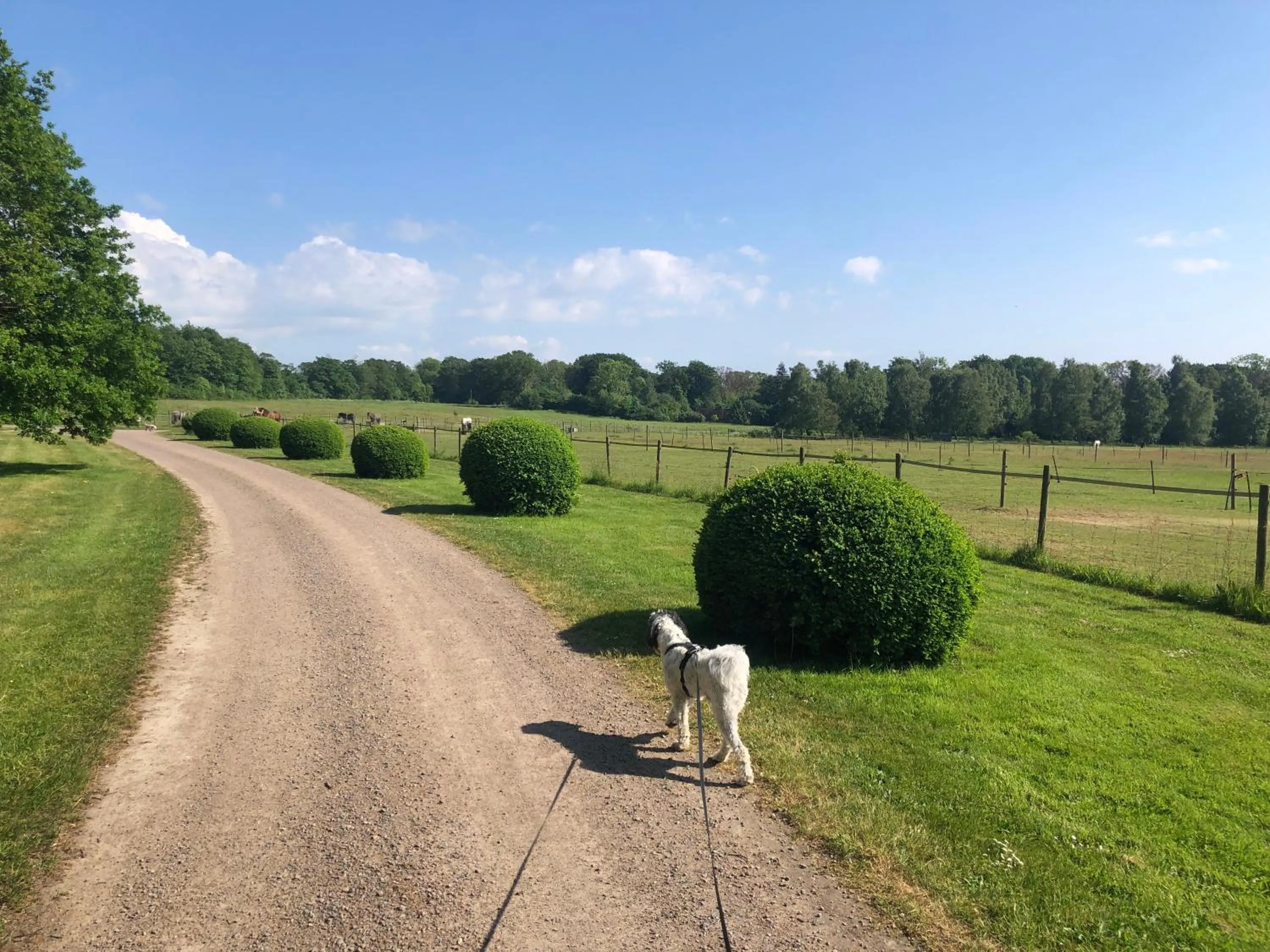 Nearby landmark in Vingårdens Bed & Breakfast