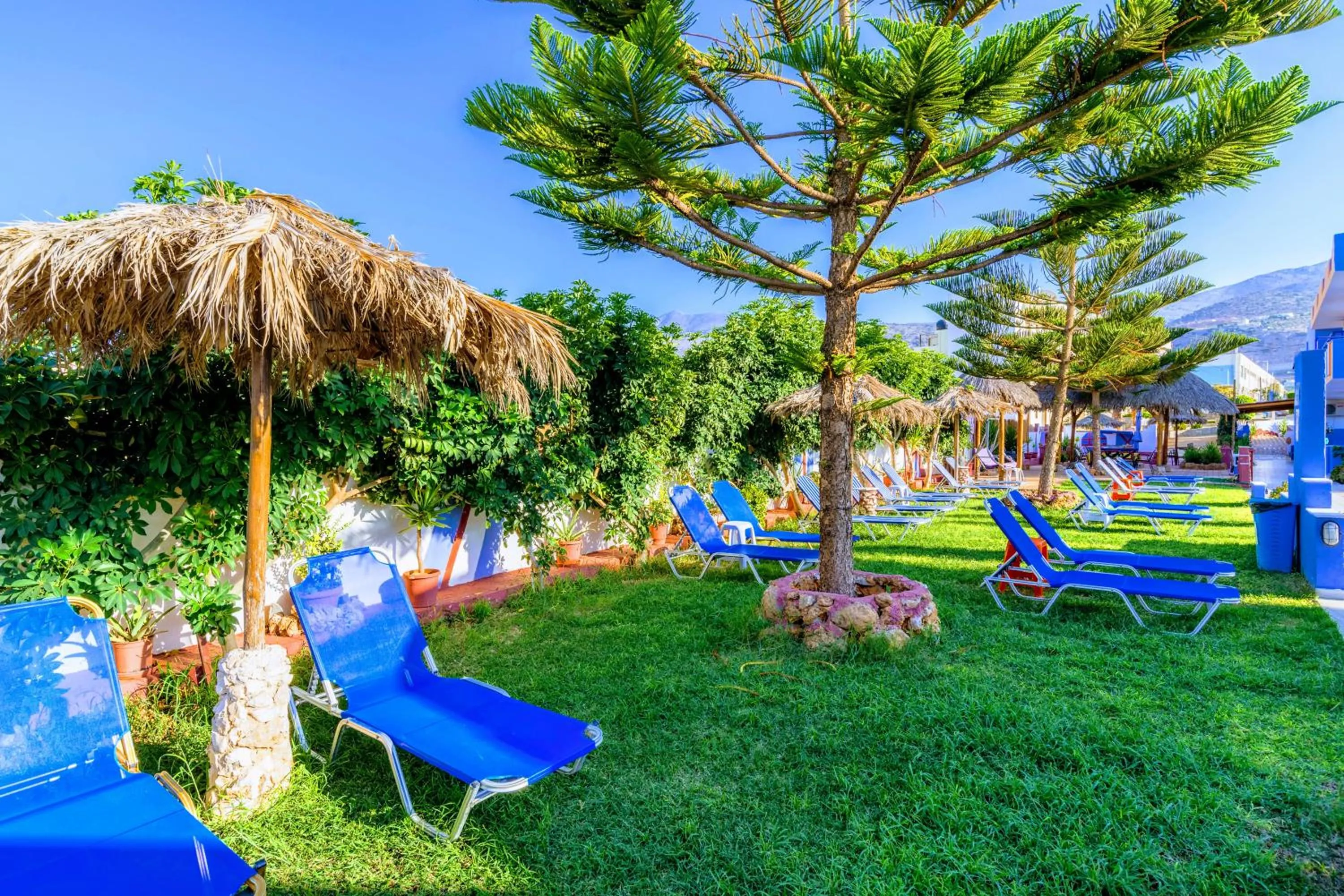 Garden in Eltina Apartments