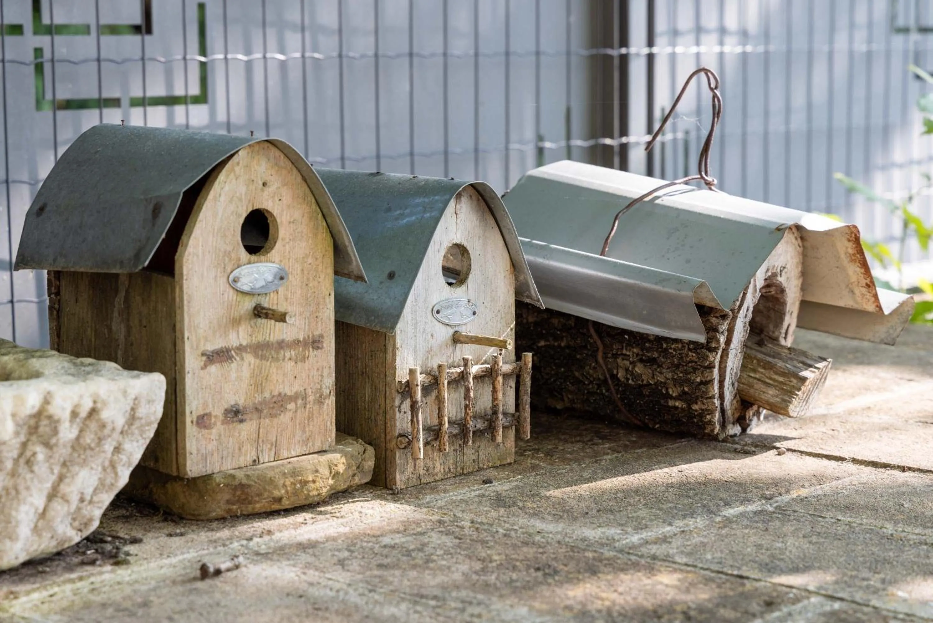 Day in Agriturismo La Palazzetta di Assisi