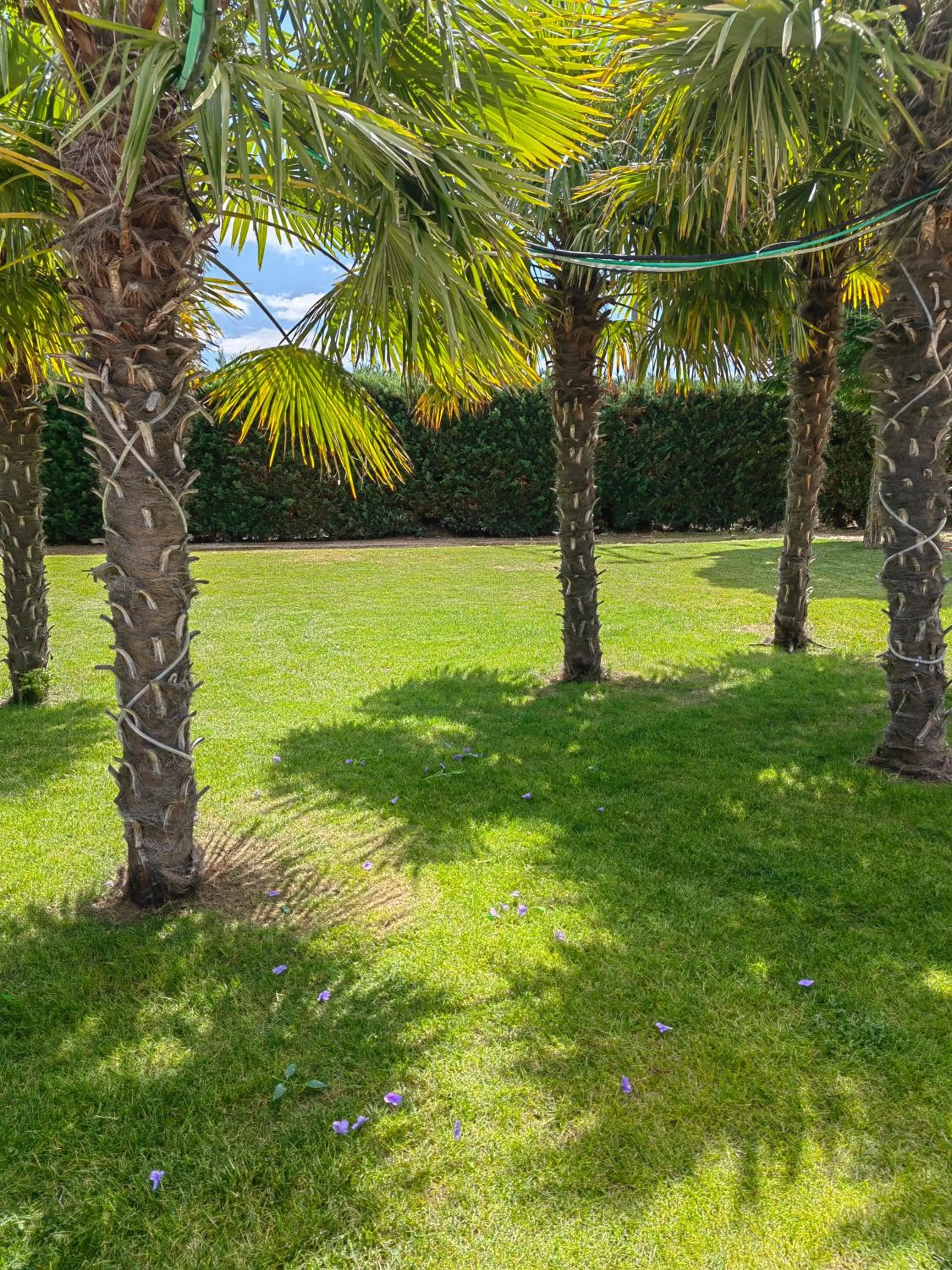 Natural landscape in Natura Resorts