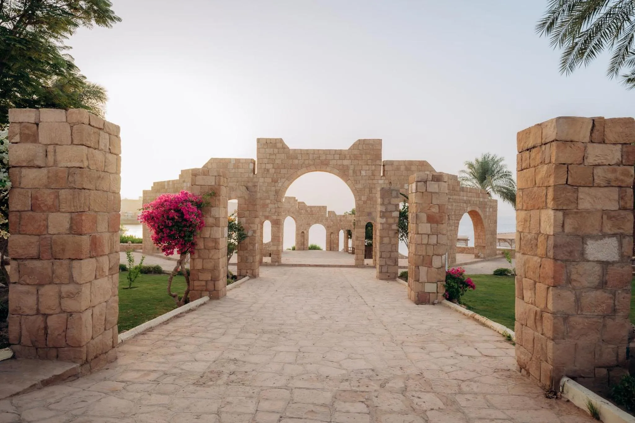 Garden in Seti Abu Simbel Lake Resort