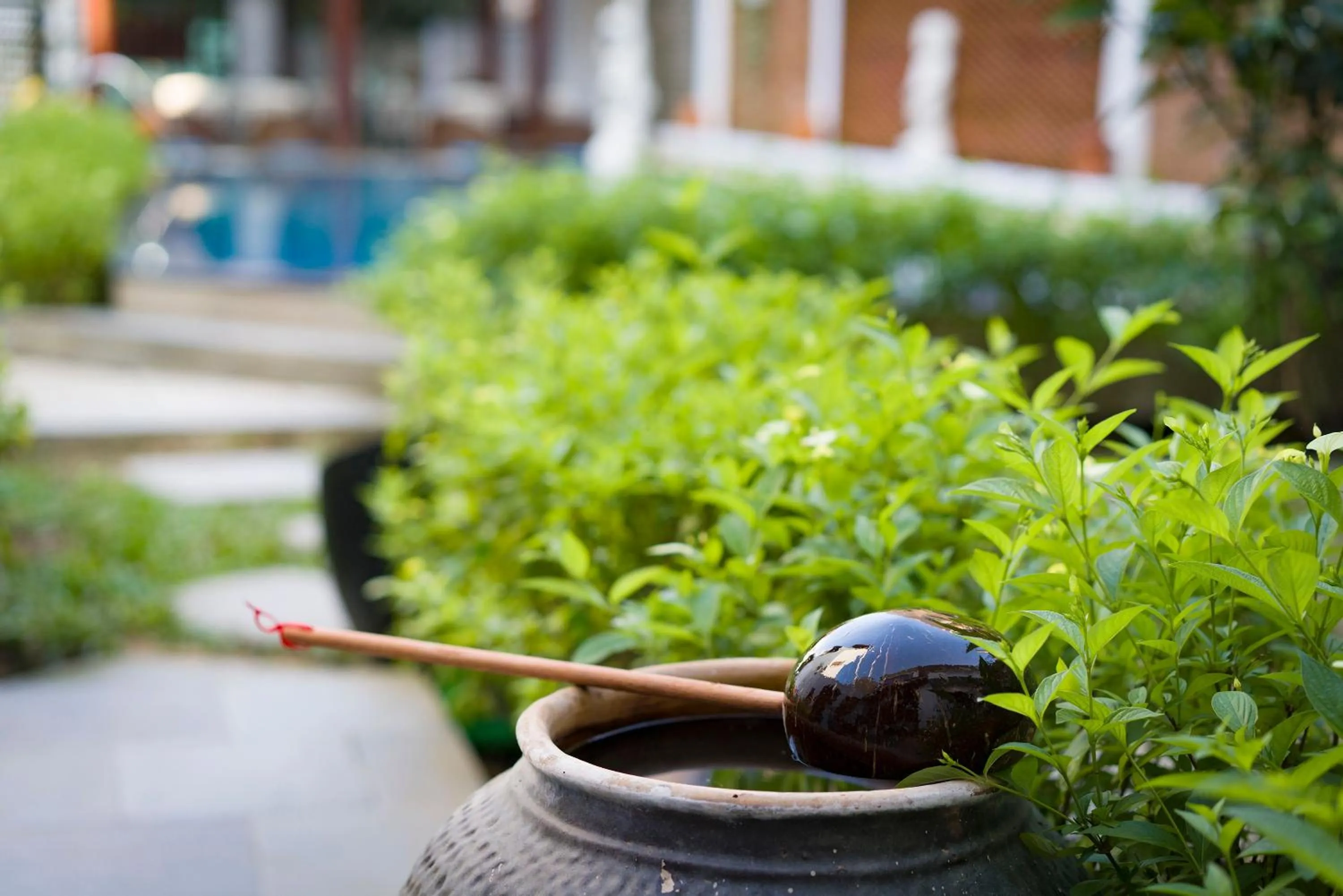 Decorative detail in Green Grapefruit Villa