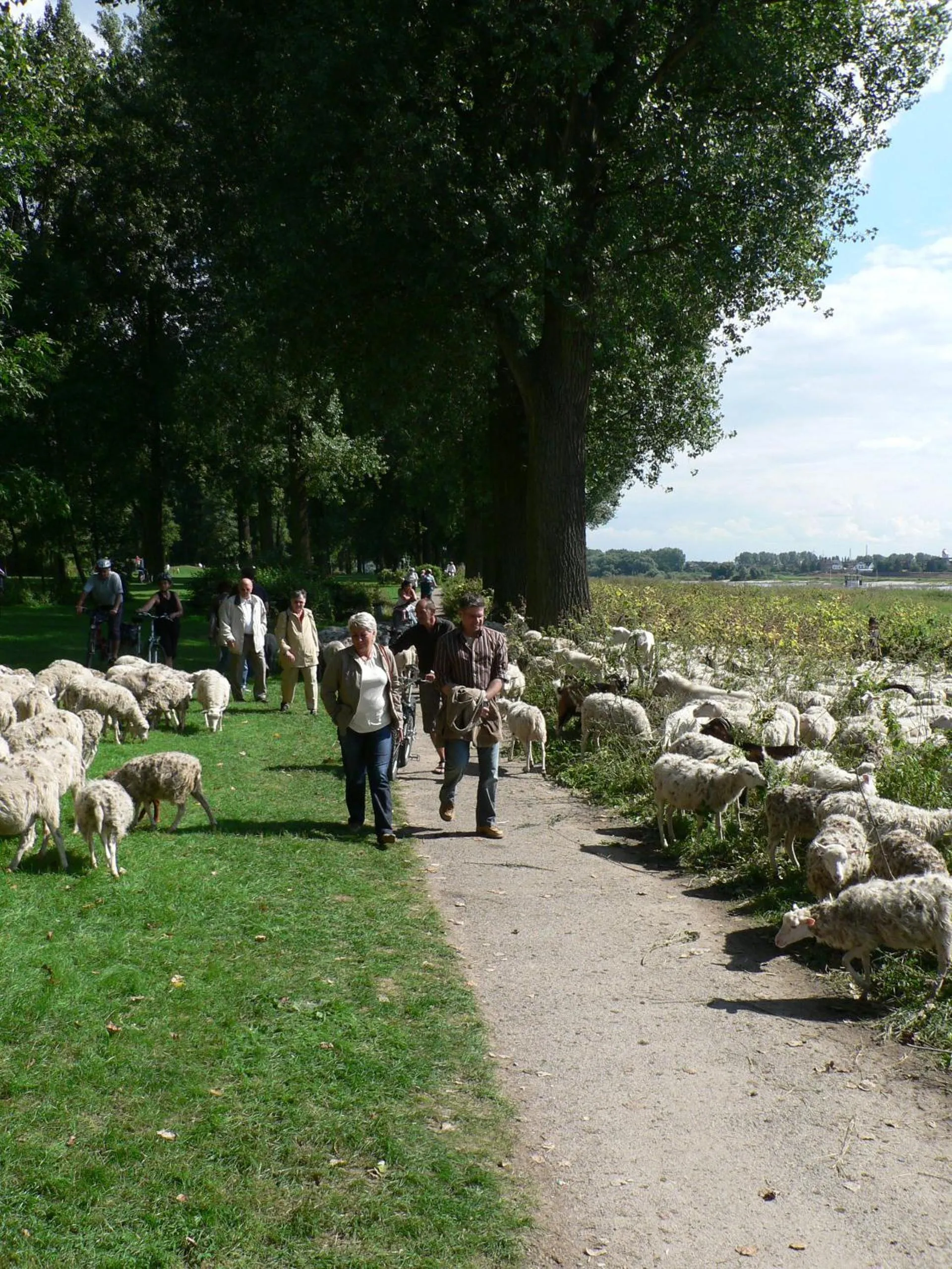 Off site in Rhein River Guesthouse - direkt am Rhein