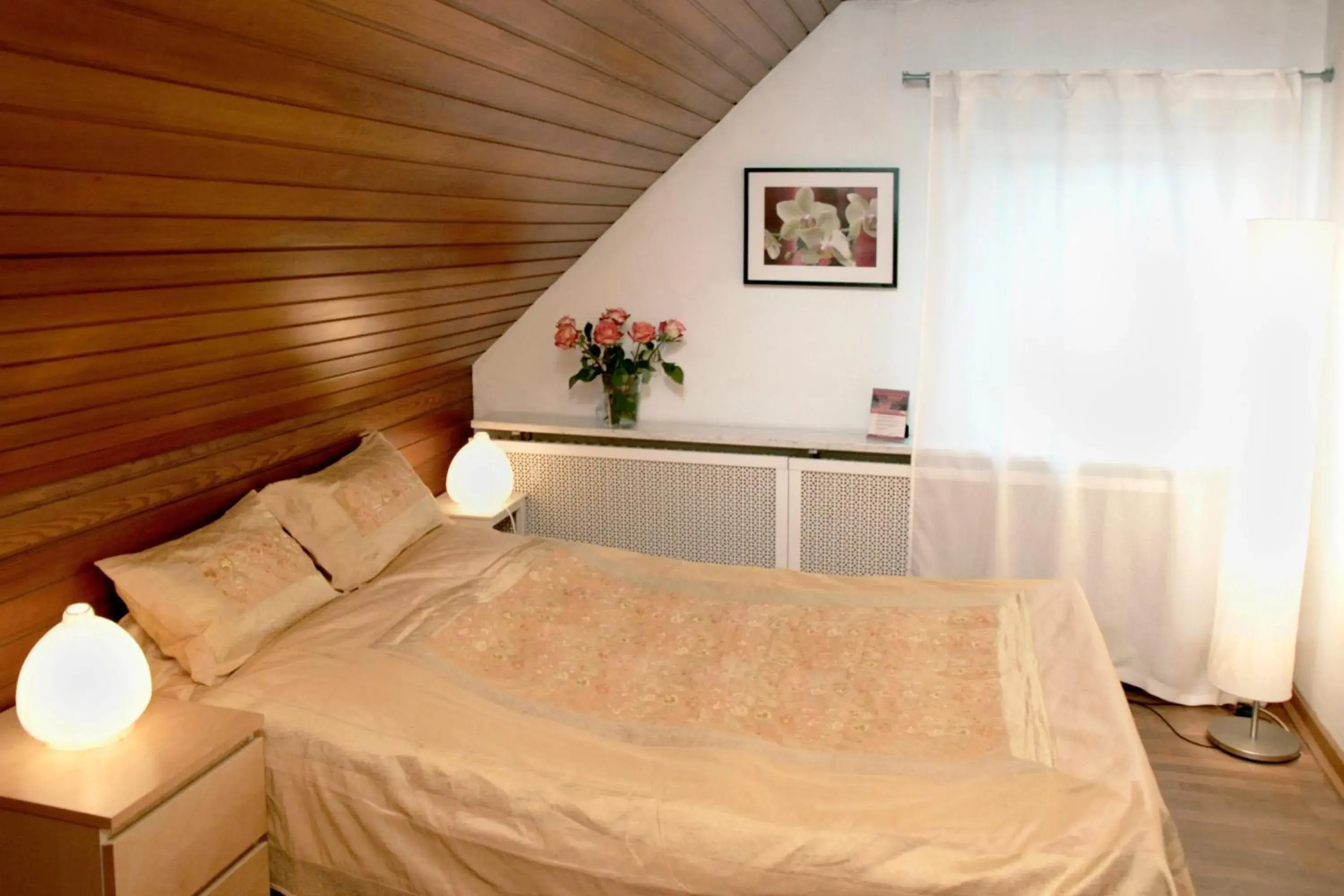 Classic Double Room - single occupancy in Rhein River Guesthouse - direkt am Rhein Classic Double Room - single occupancy in Rhein River Guesthouse - direkt am Rhein