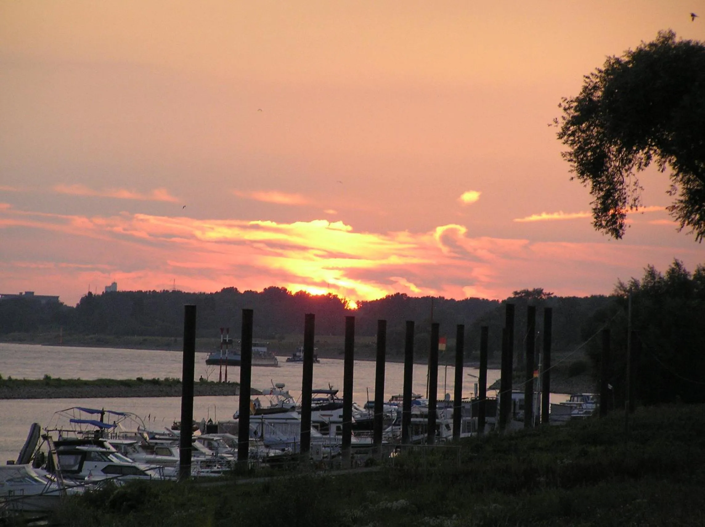 Area and facilities in Rhein River Guesthouse - direkt am Rhein