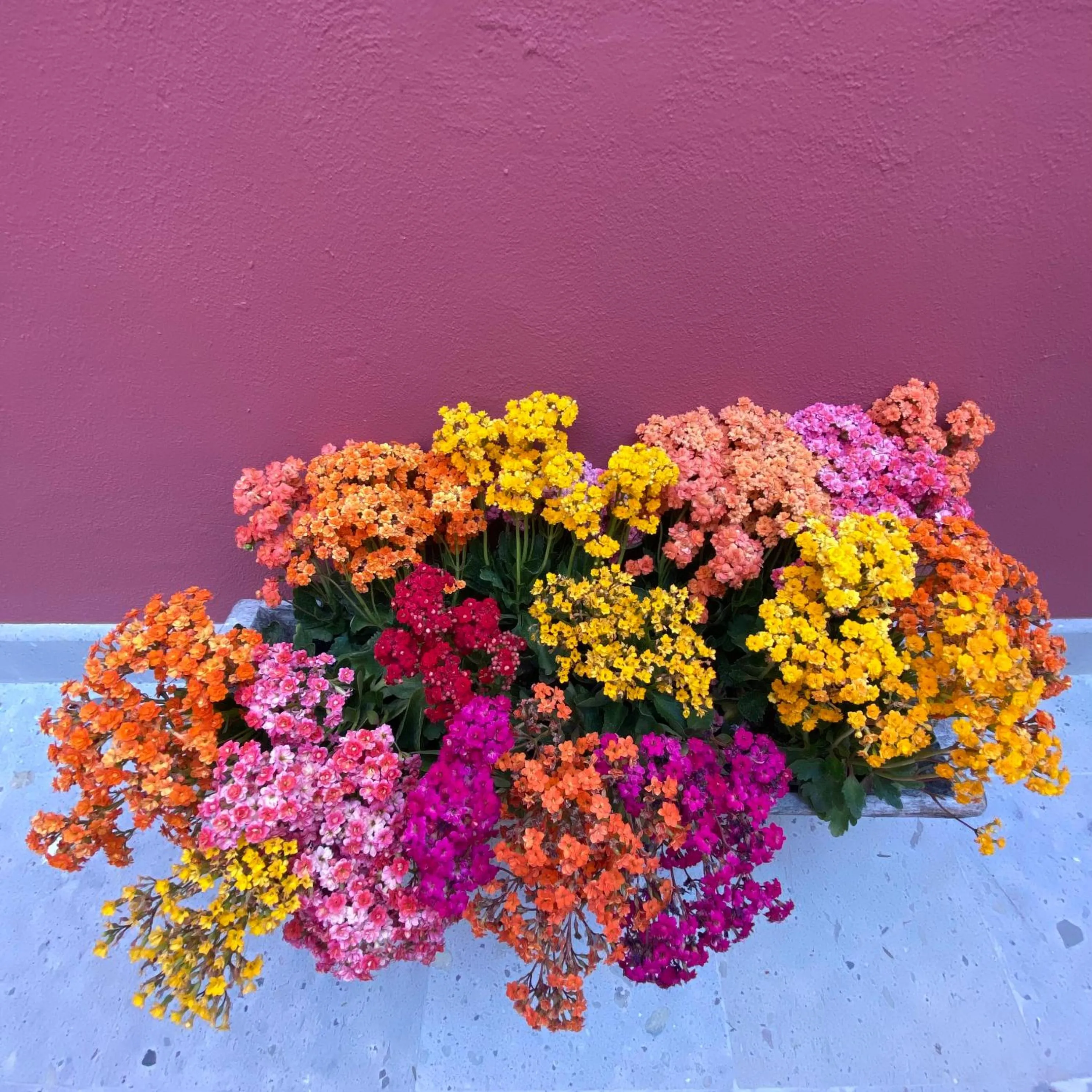 Property building in Hotel Casa Once