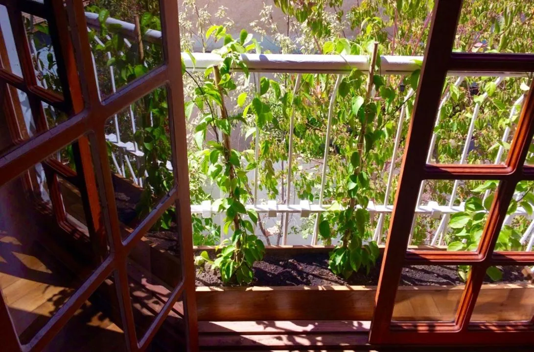 Esencia Hotel Boutique