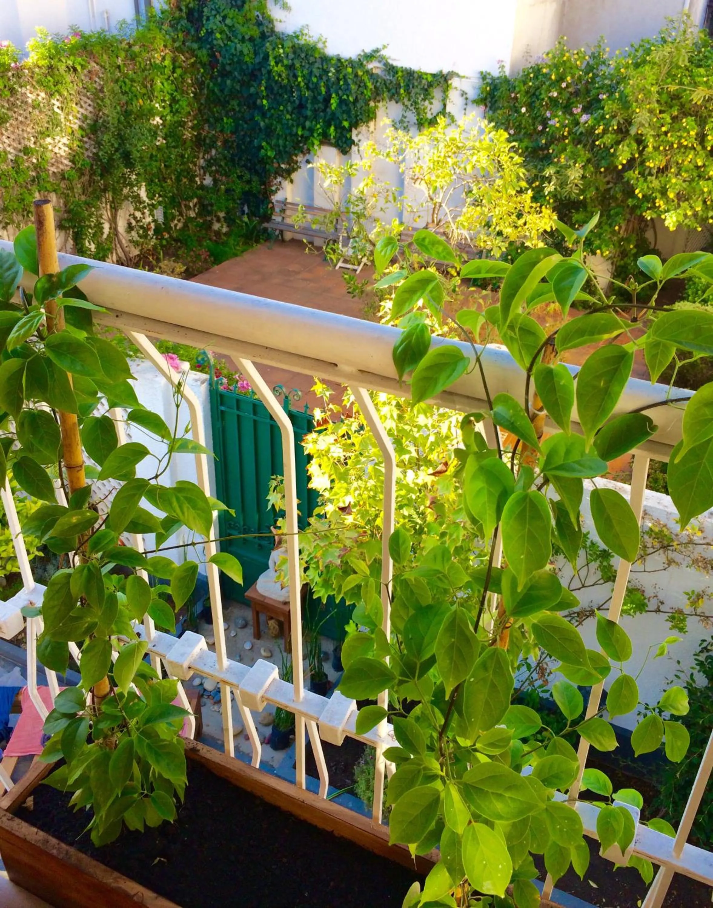 Esencia Hotel Boutique