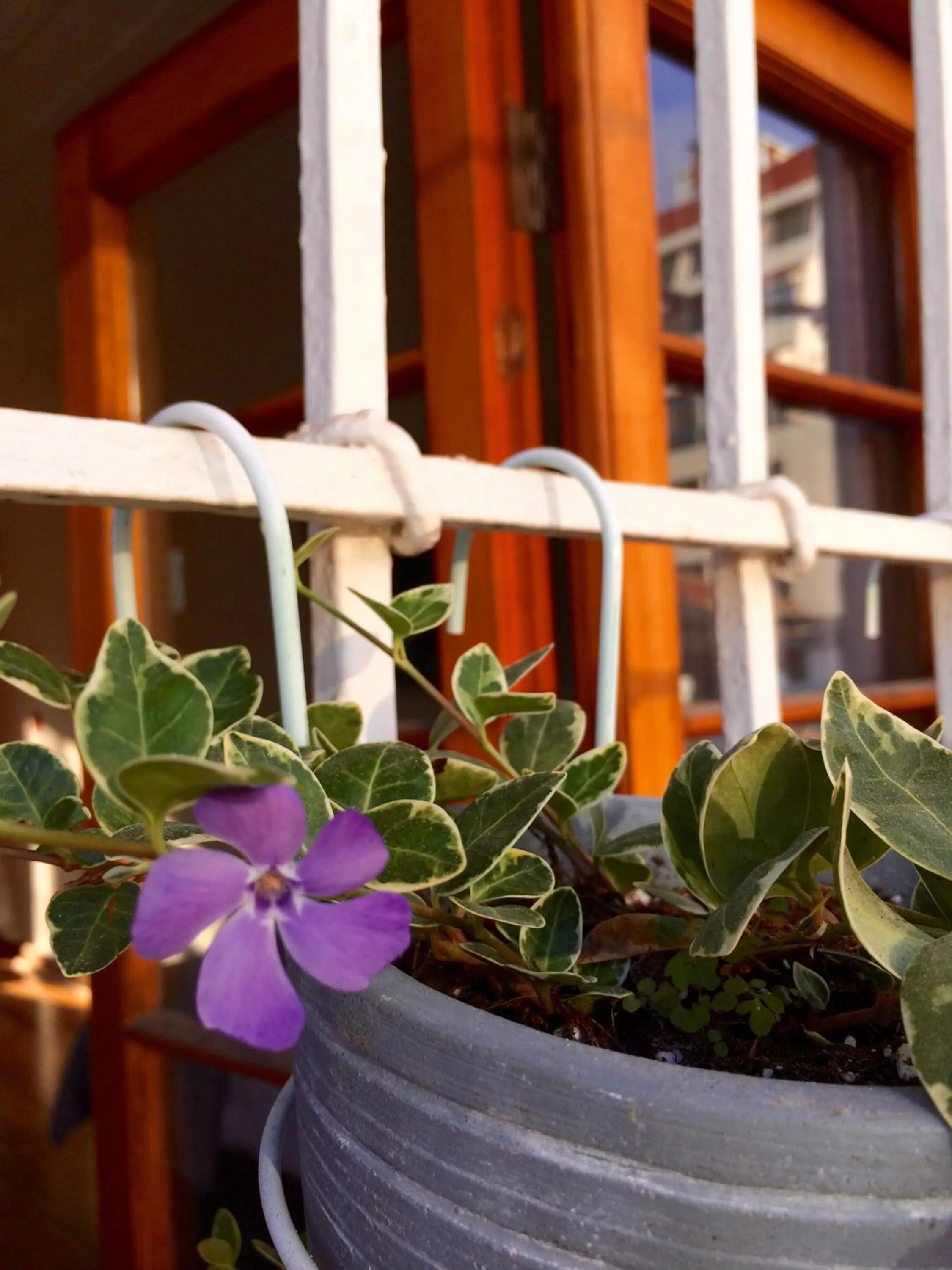 Esencia Hotel Boutique