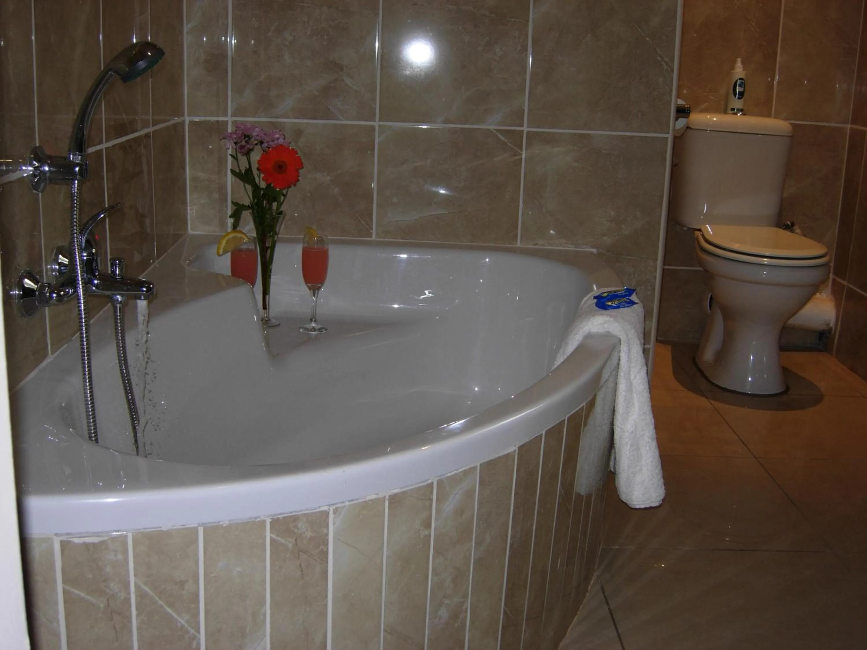 Rosenthal Guesthouse