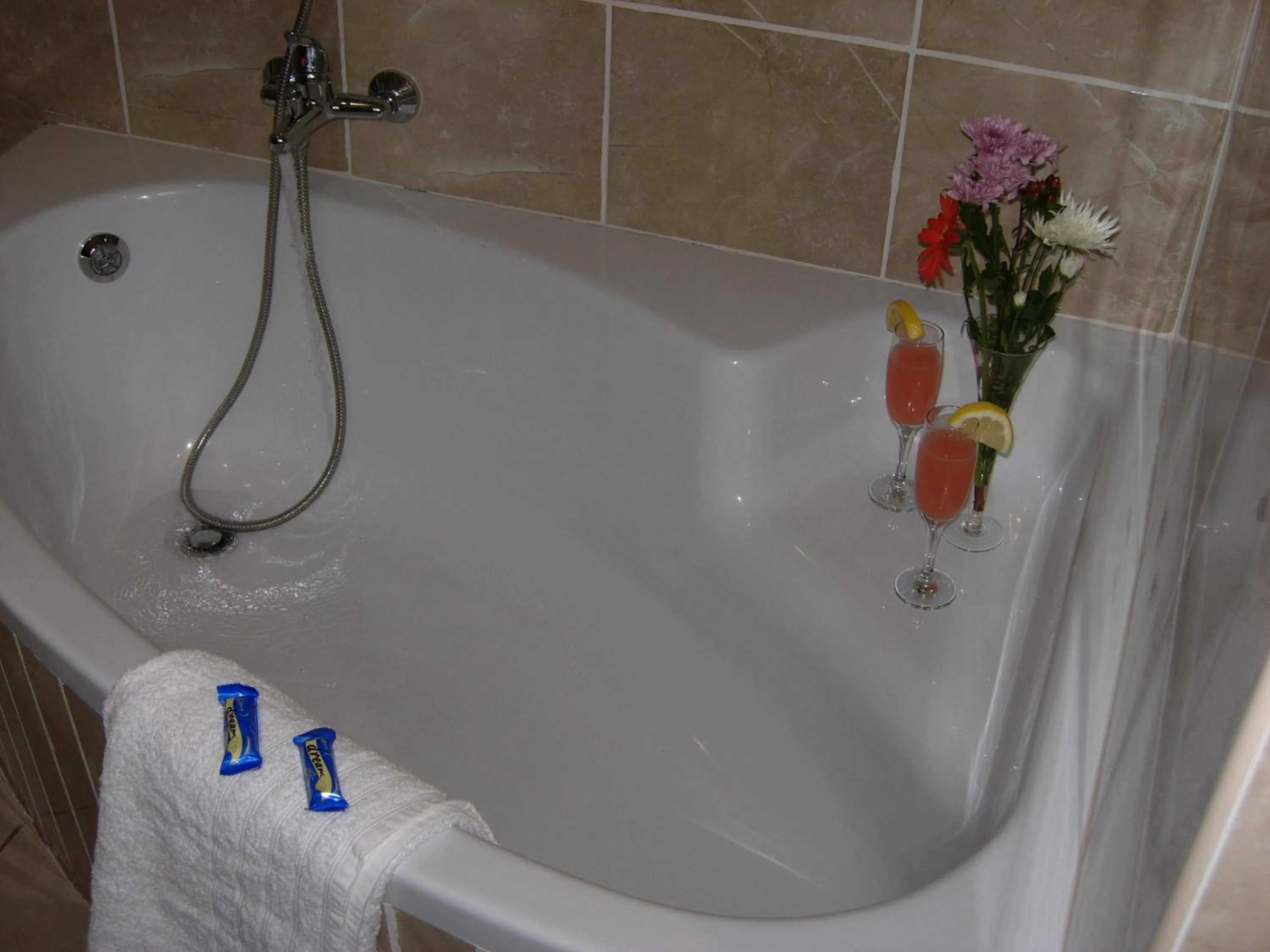 Rosenthal Guesthouse