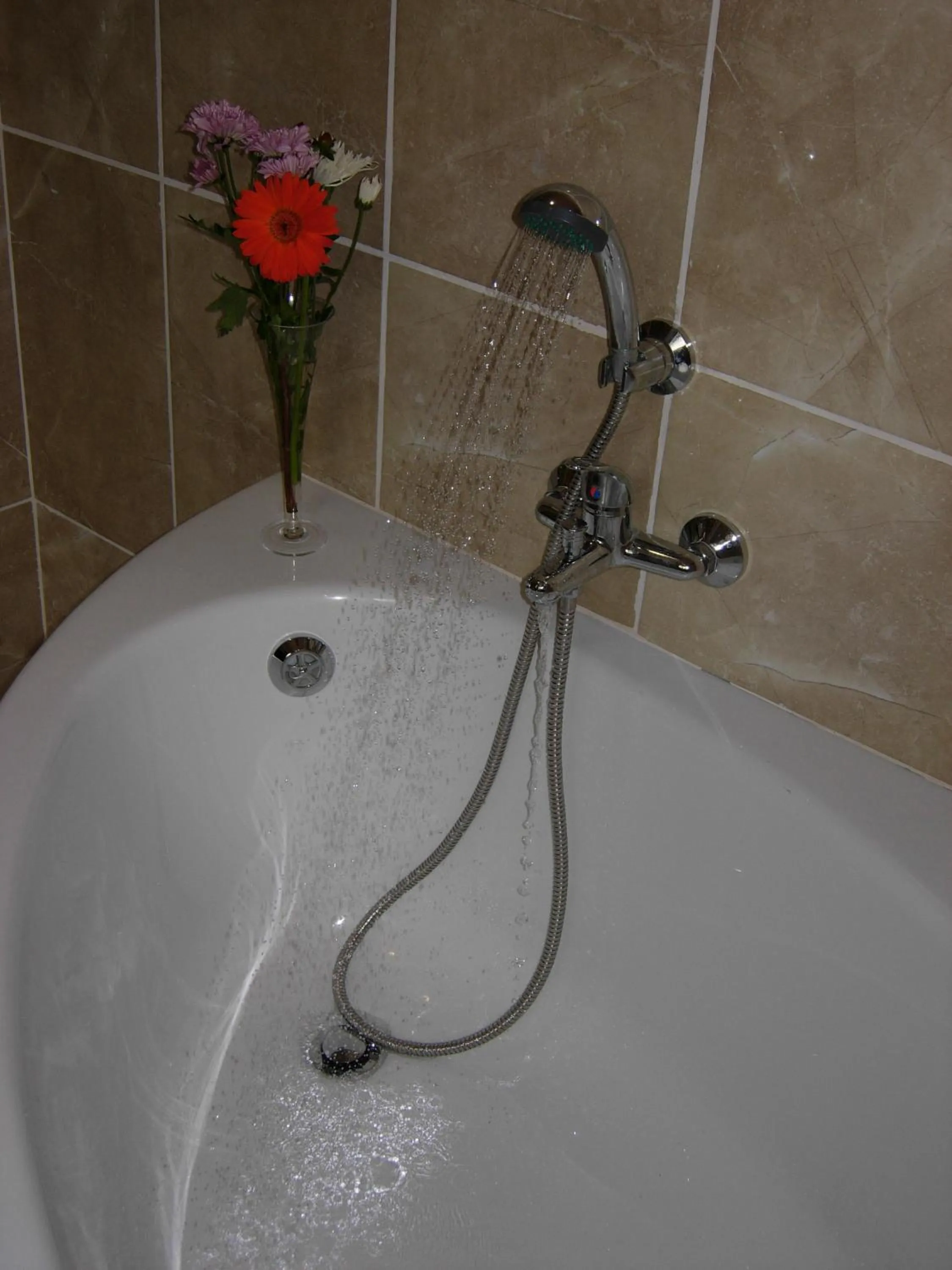 Rosenthal Guesthouse