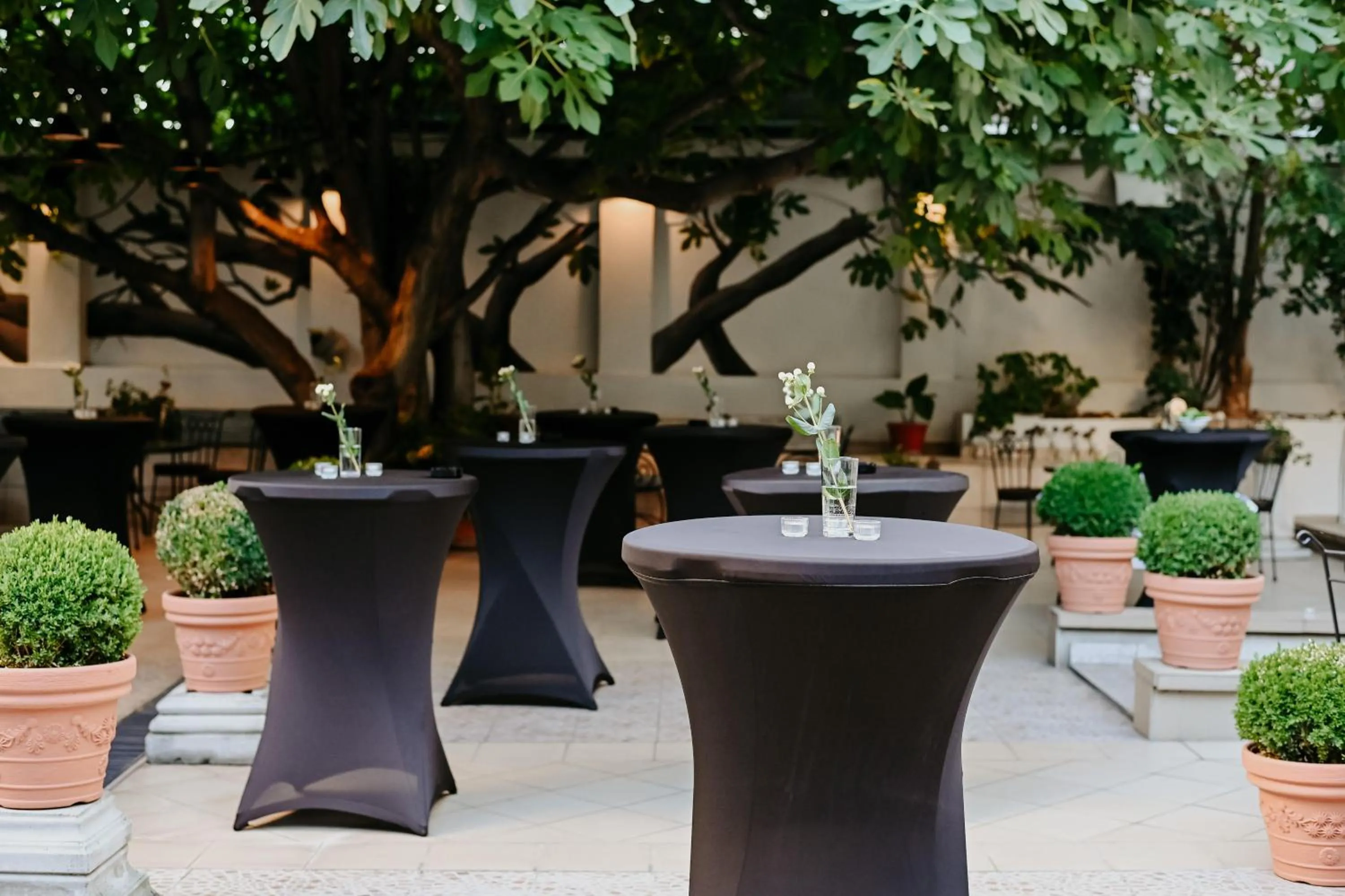 Garden in Hotel Jardin