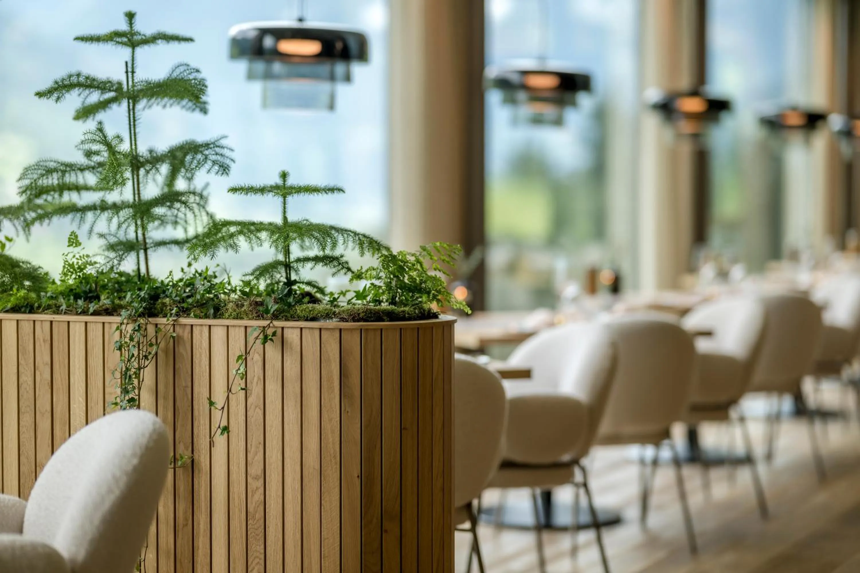 Restaurant/places to eat in Das.Goldberg