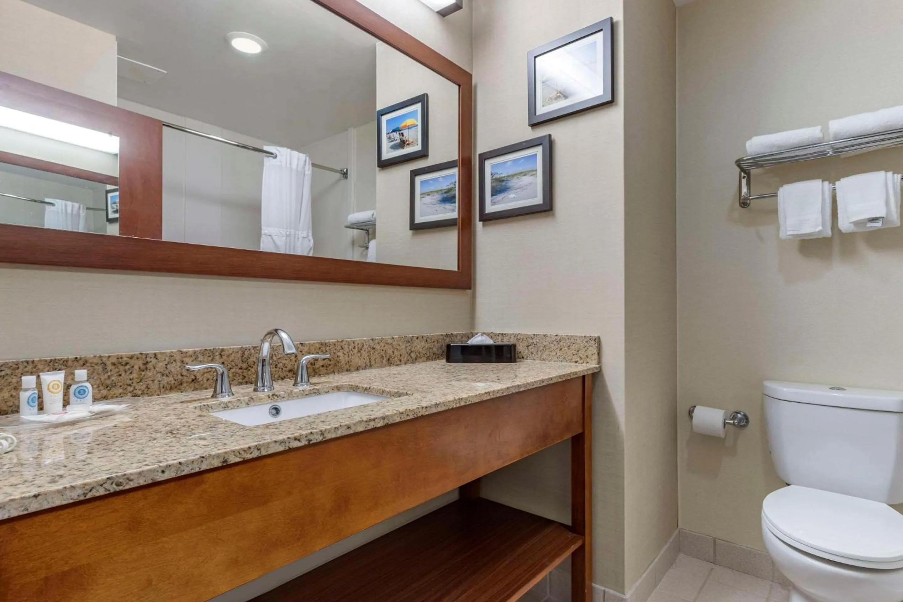 Standard King Room - Non-Smoking  in Comfort Suites Myrtle Beach Central