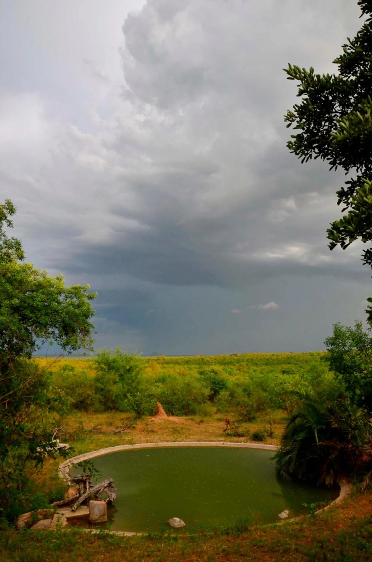 Landmark view in Tingala Lodge - Bed in the Bush