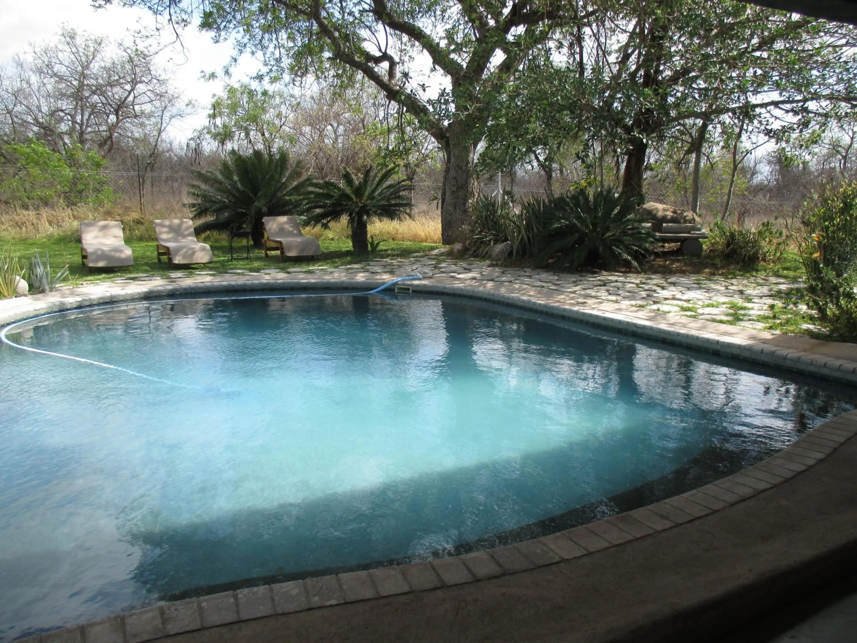 Swimming pool in Tingala Lodge - Bed in the Bush
