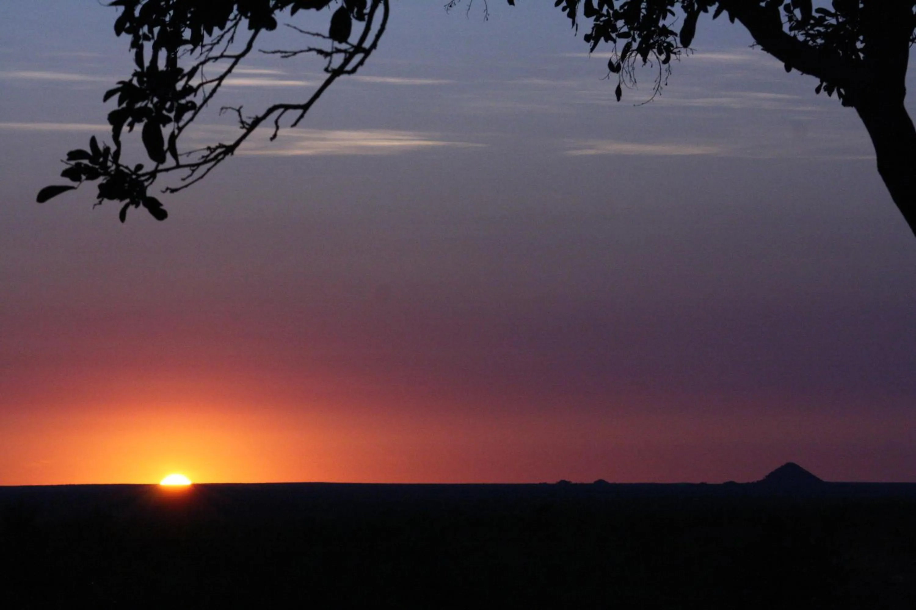 Sunrise in Tingala Lodge - Bed in the Bush