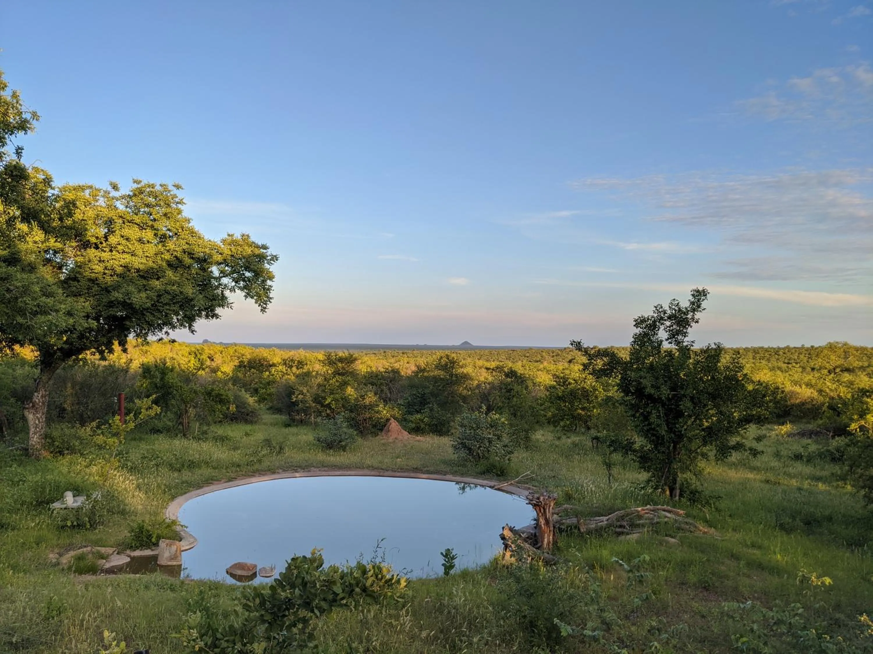 Natural landscape in Tingala Lodge - Bed in the Bush