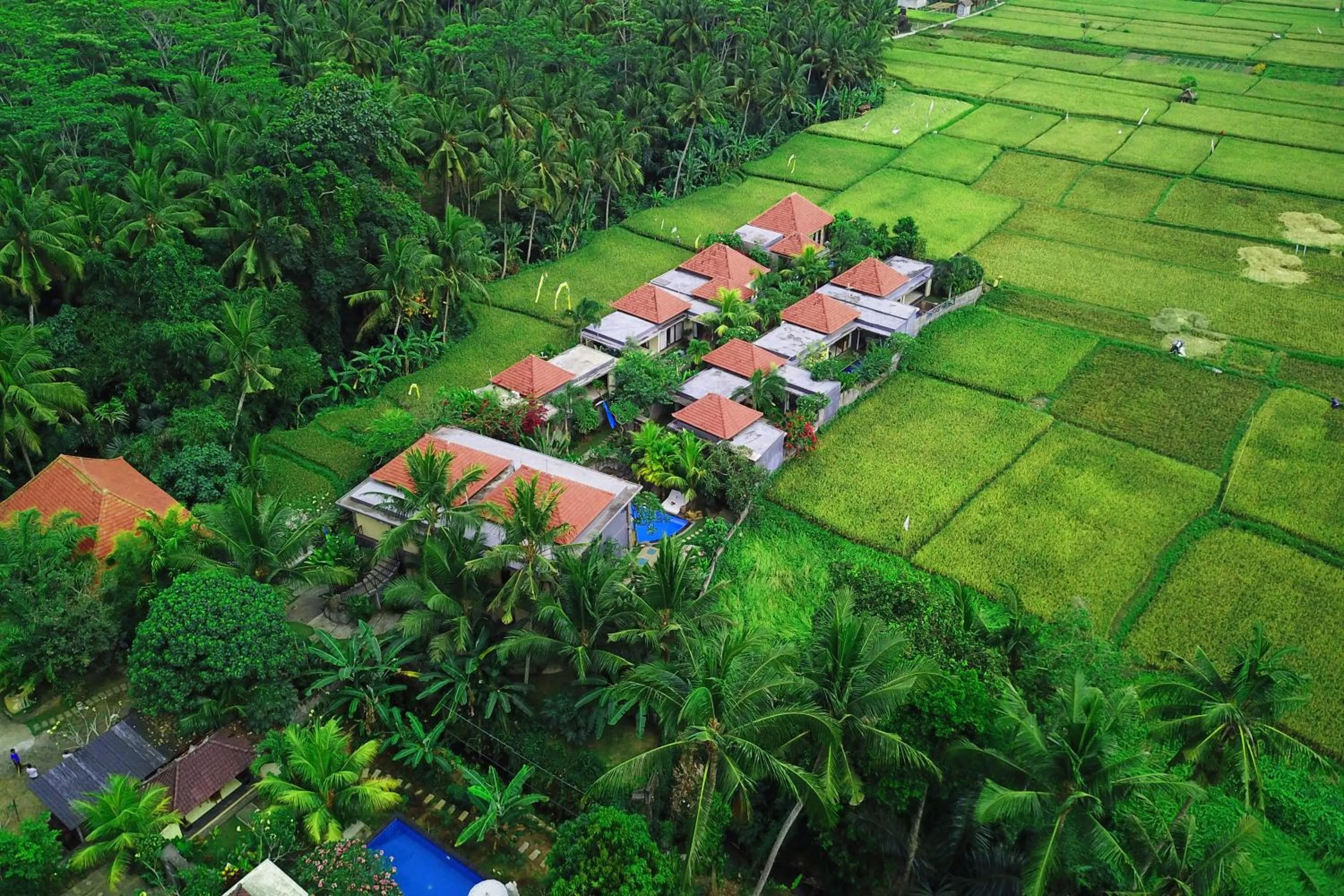Bird's eye view in Asri Sari Ubud Villa & Resort