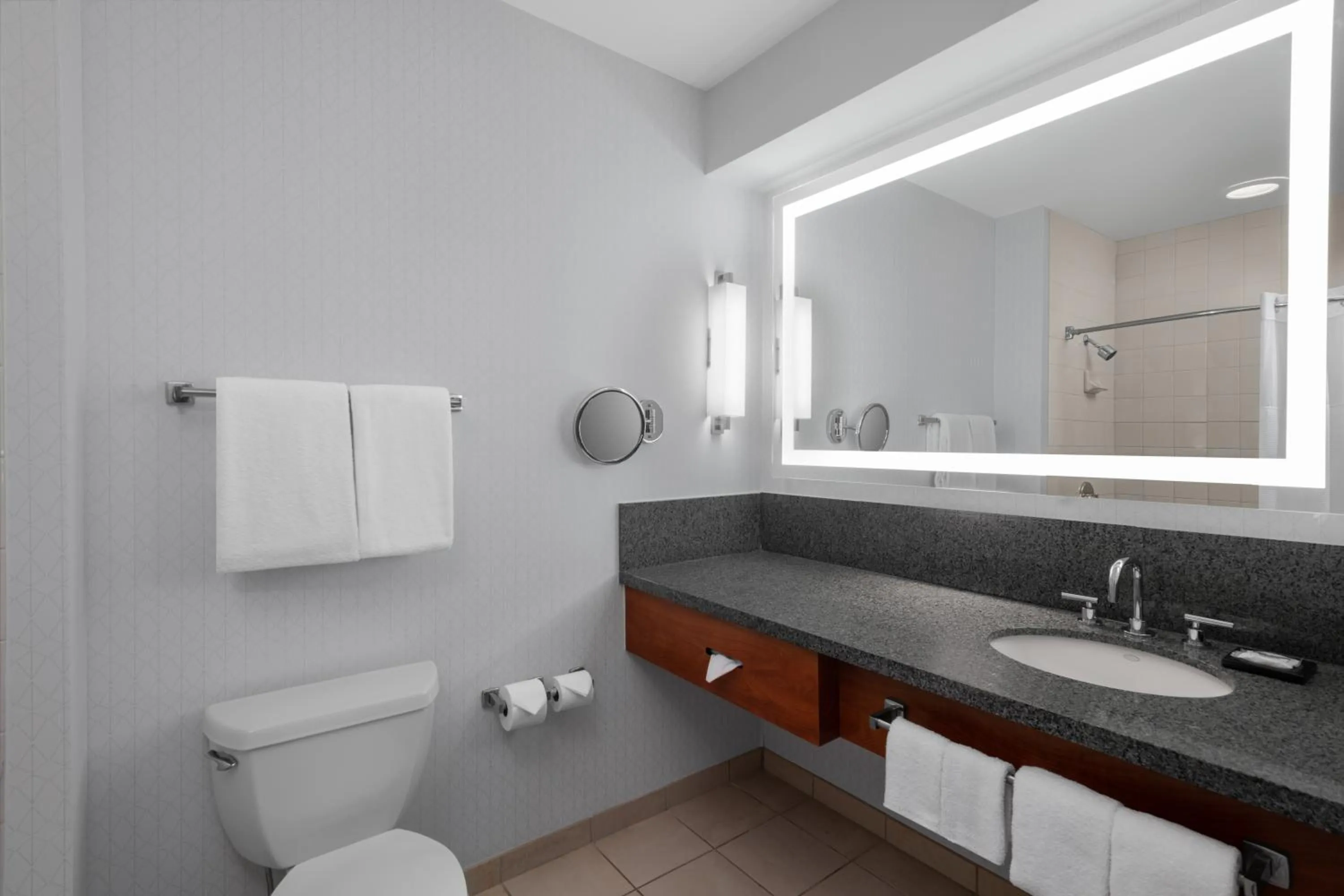 Toilet in Hyatt Regency Pittsburgh International Airport