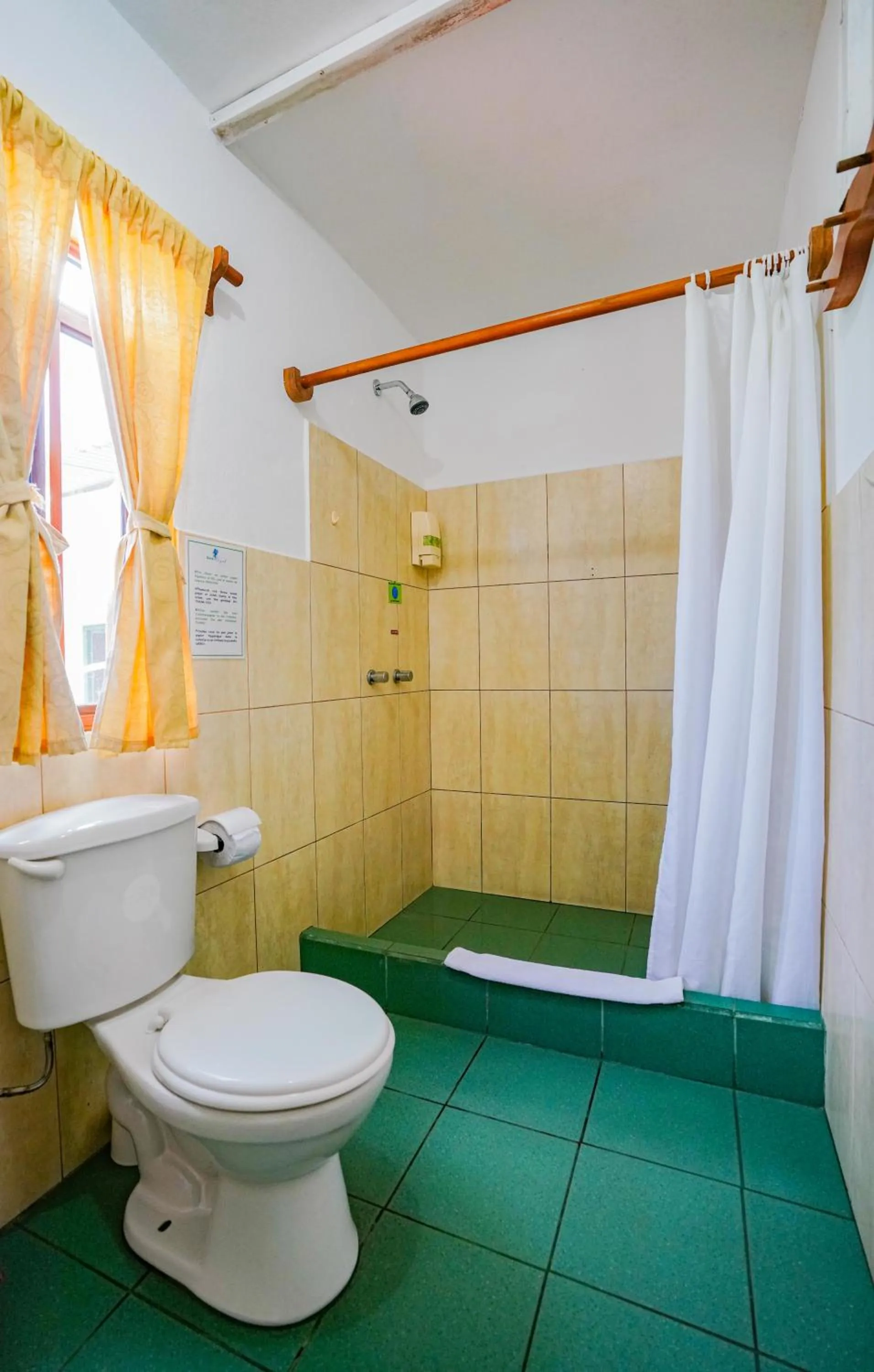 Galapagos Verde Azul