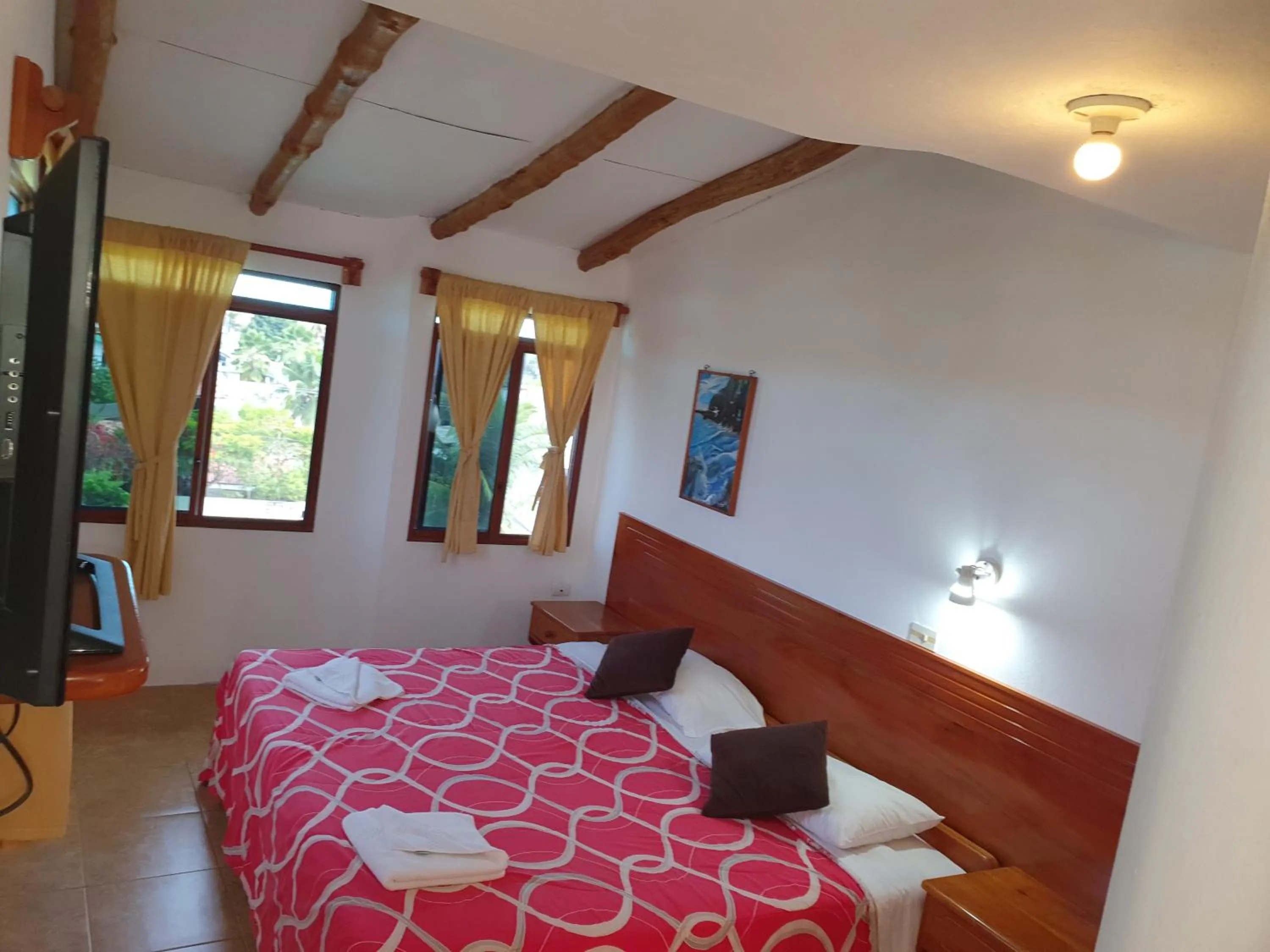 Bed in Galapagos Verde Azul