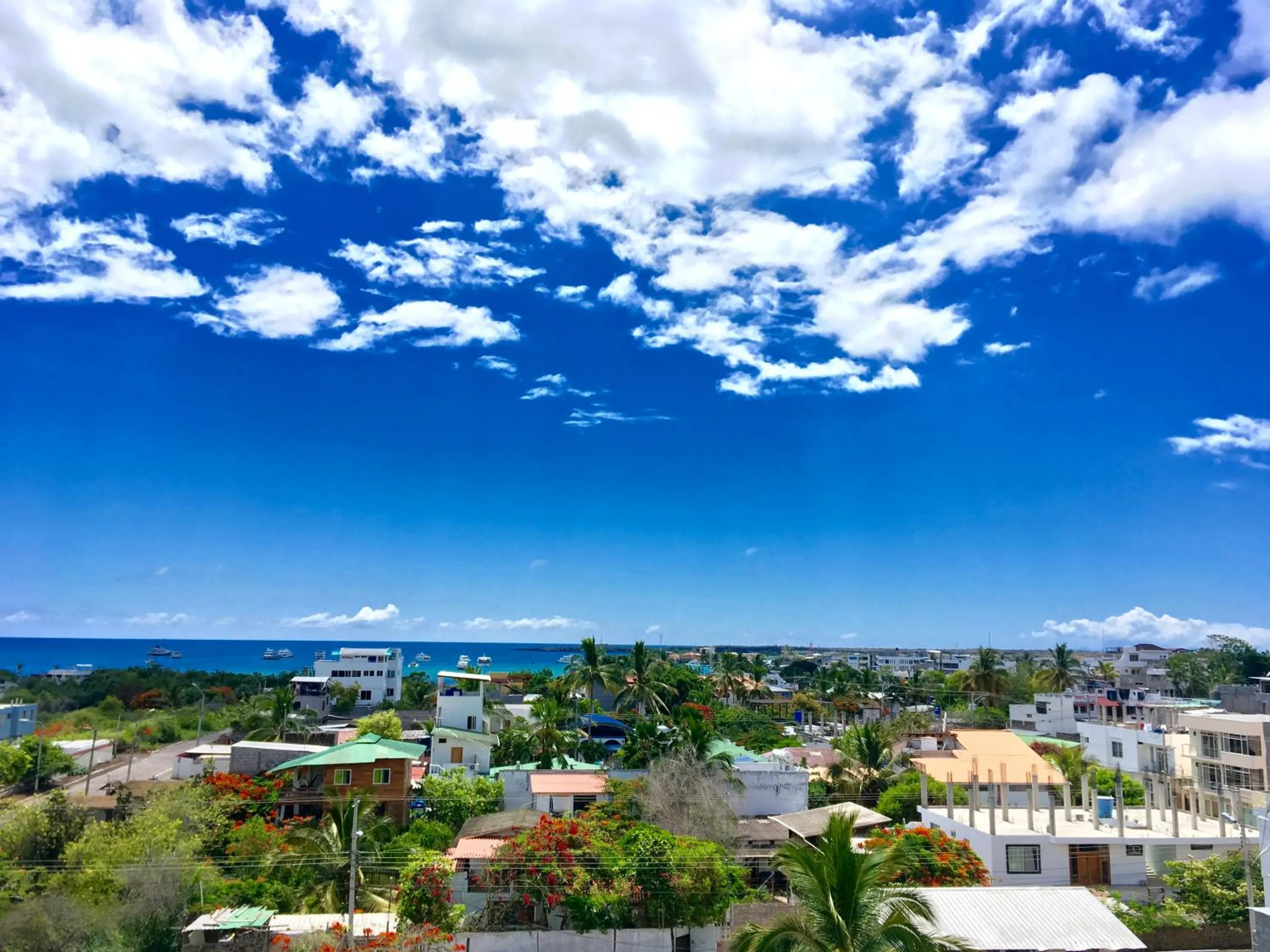 Balcony/Terrace in Galapagos Verde Azul