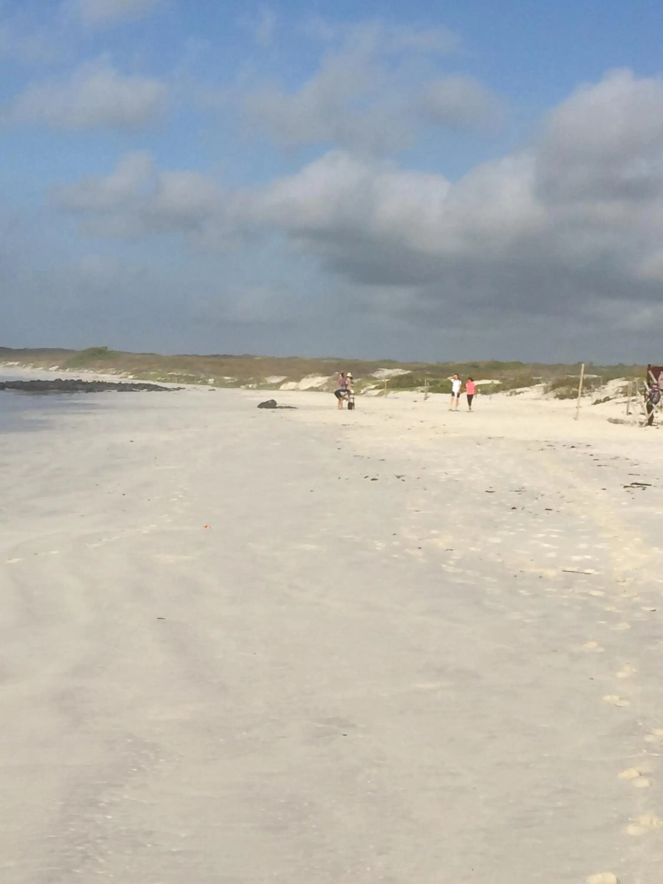 Beach in Galapagos Verde Azul