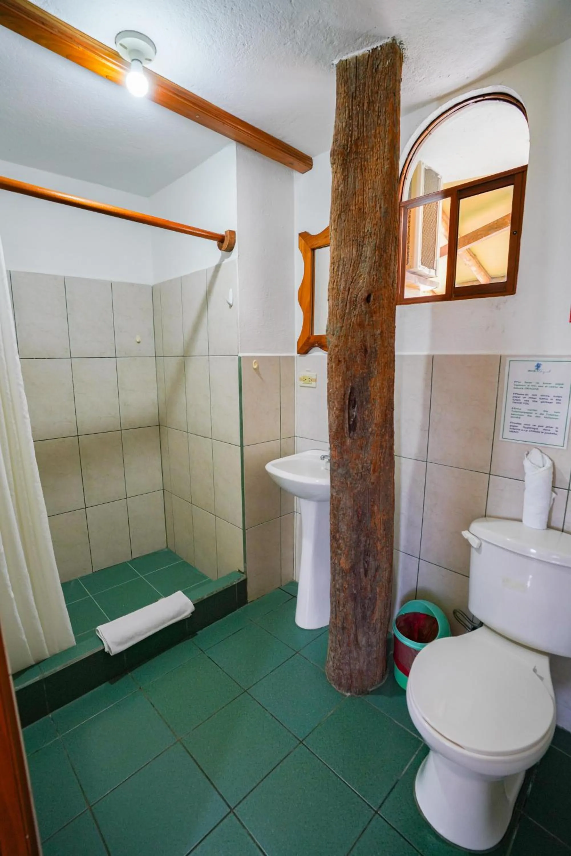 Galapagos Verde Azul