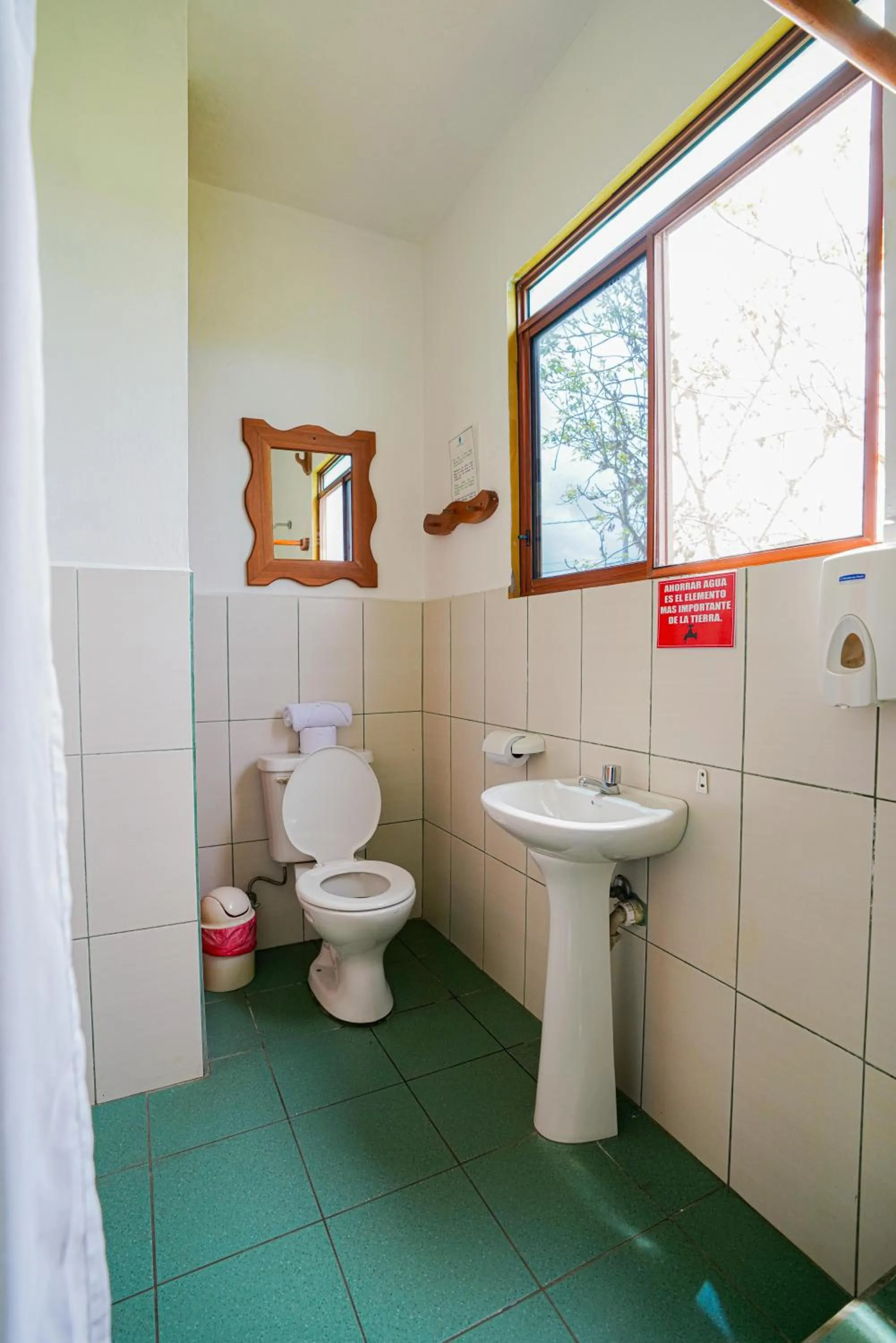 Galapagos Verde Azul