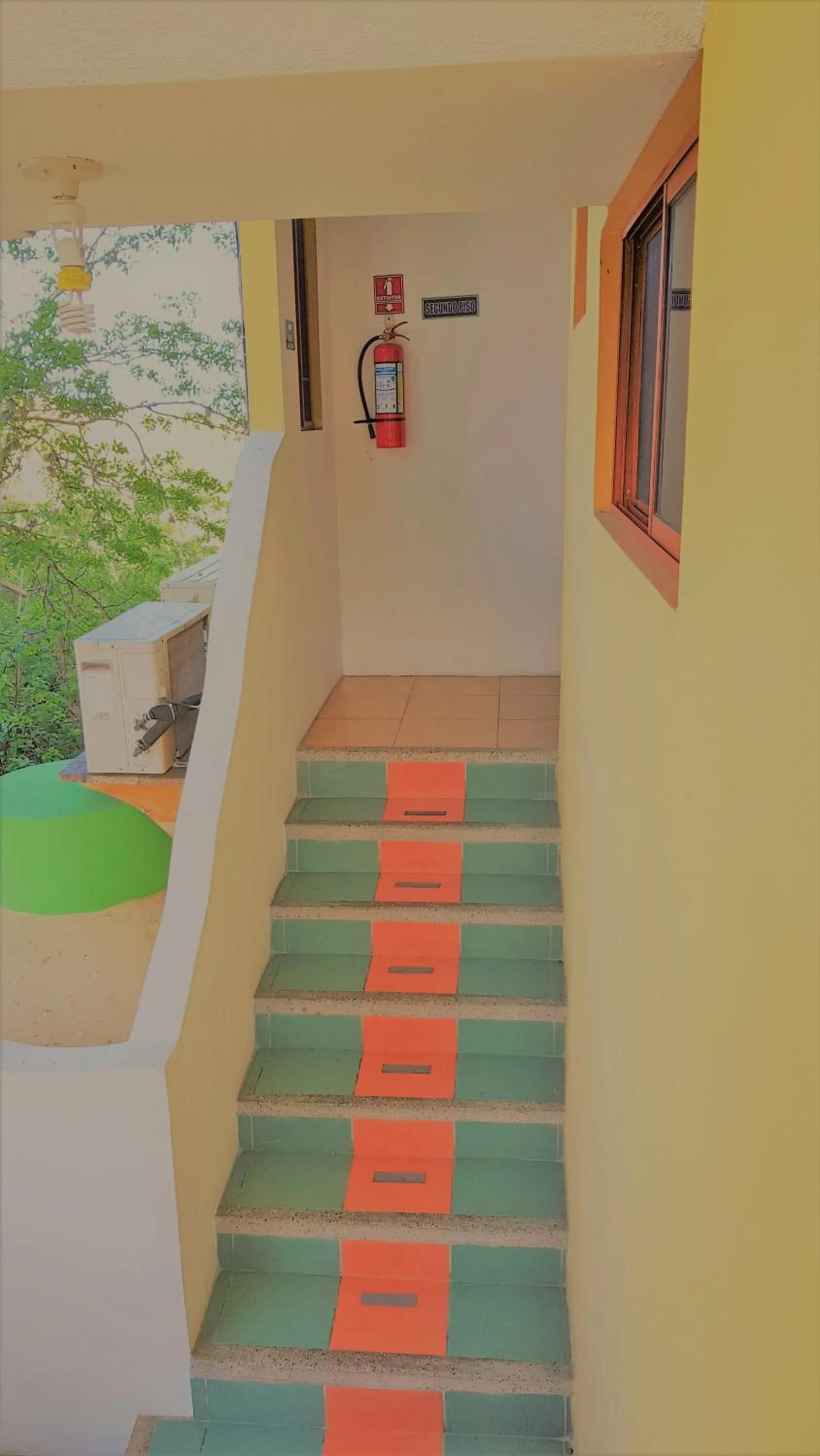 Galapagos Verde Azul