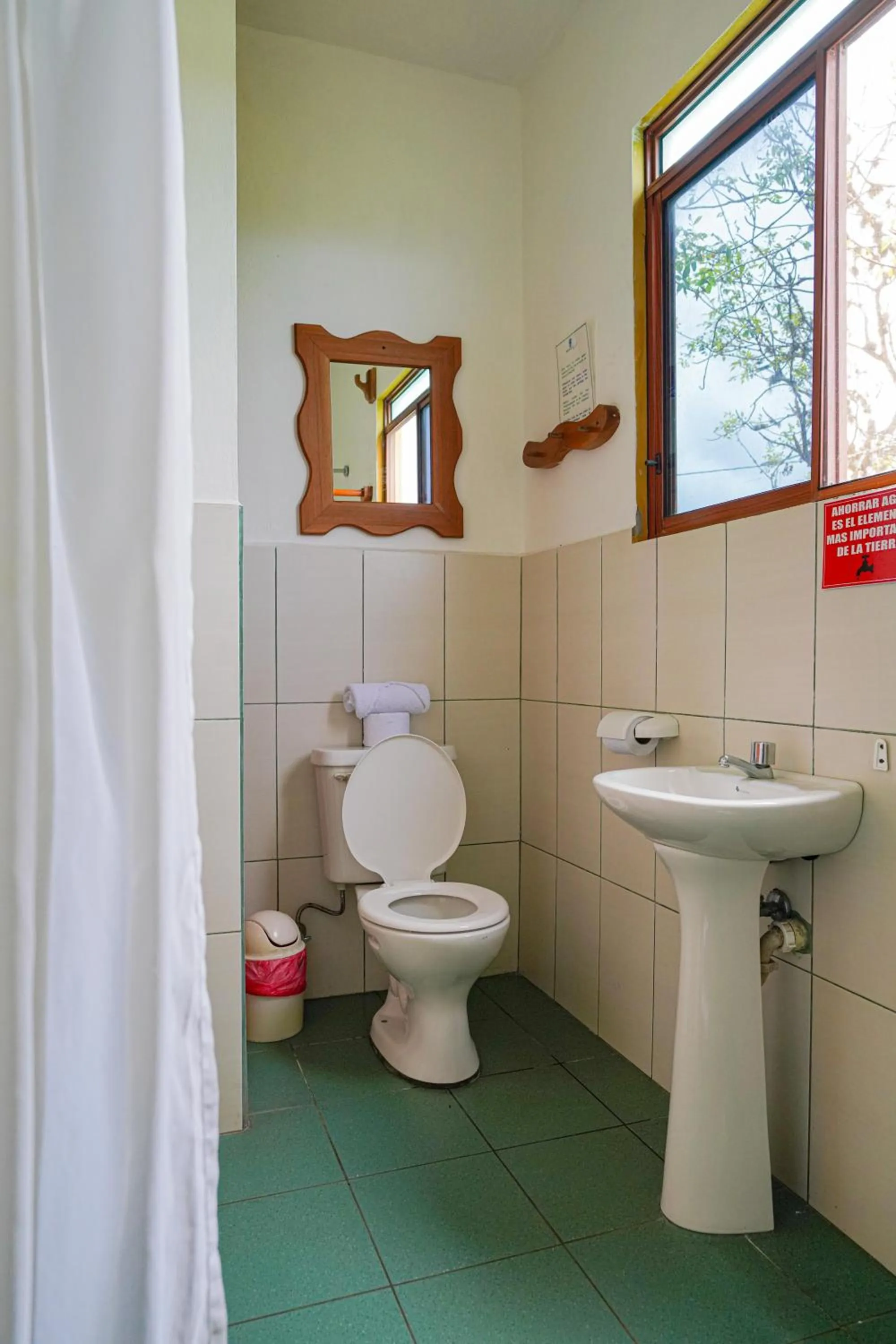 Galapagos Verde Azul