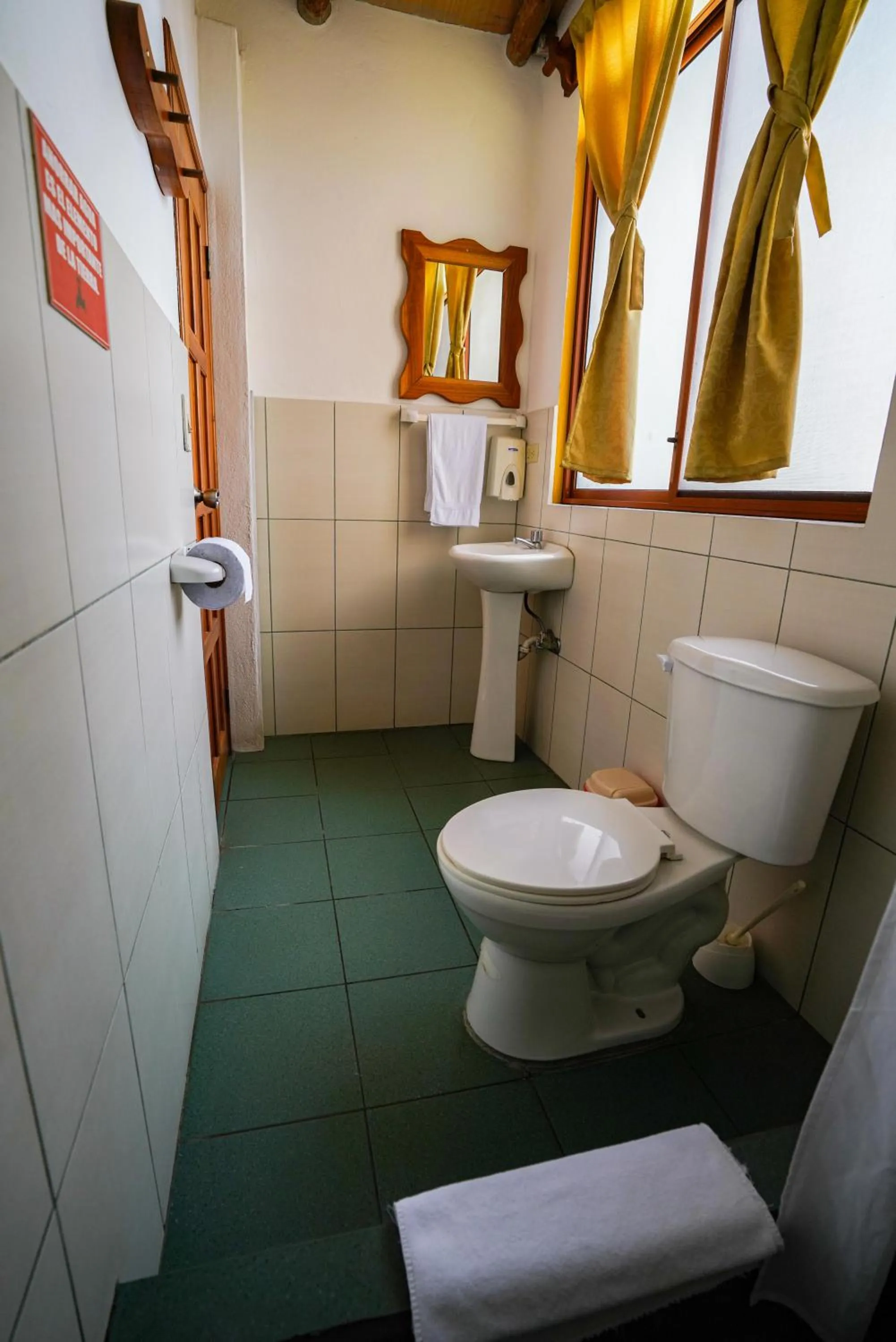 Galapagos Verde Azul