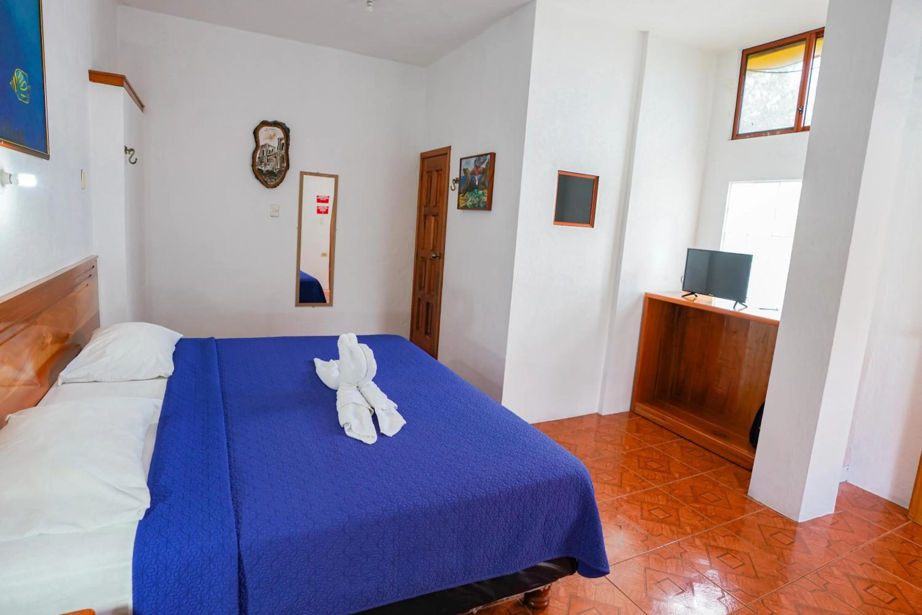 Bed in Galapagos Verde Azul