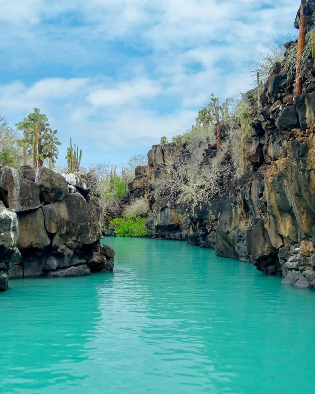 Galapagos Verde Azul