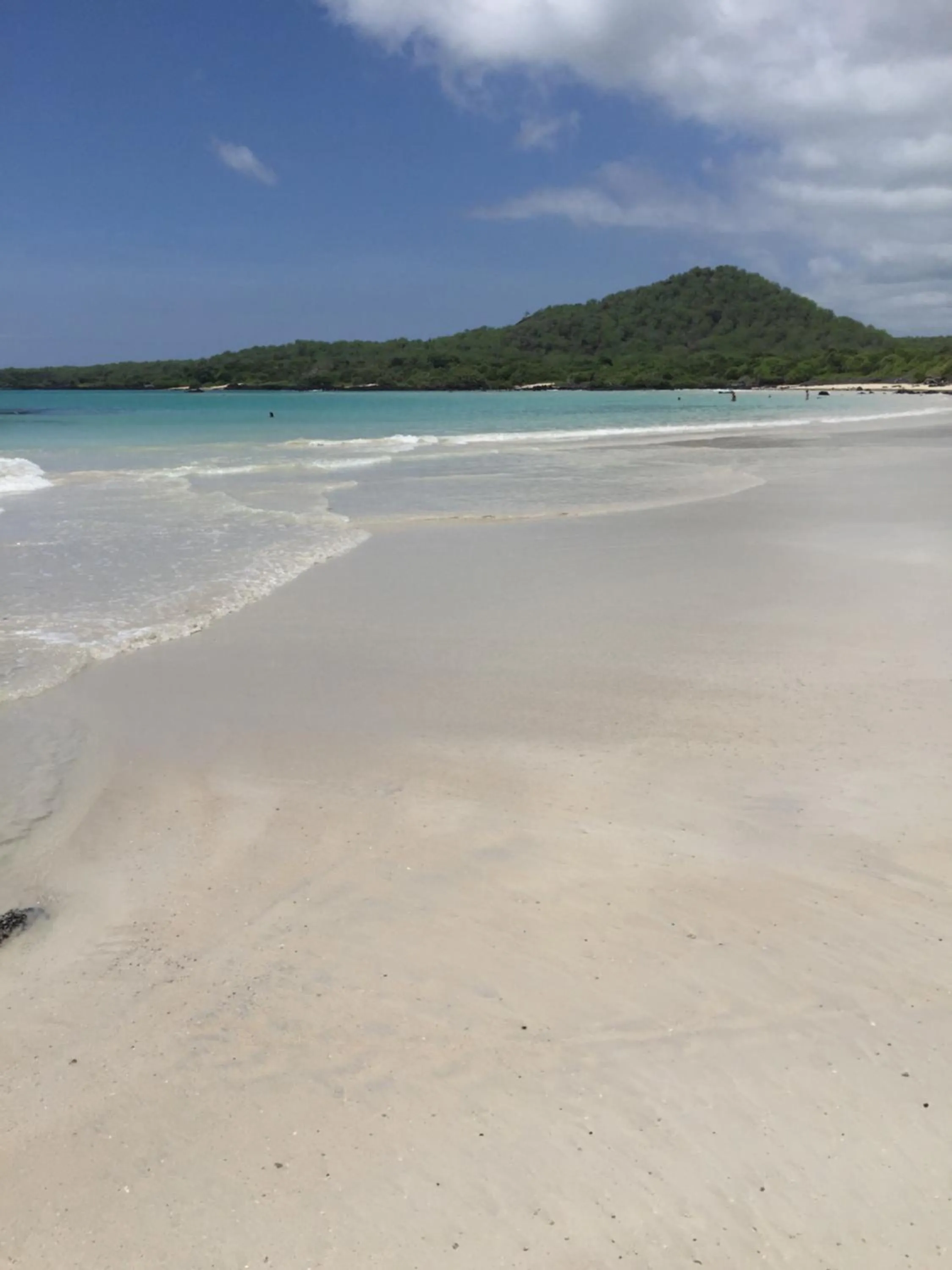 Beach in Galapagos Verde Azul
