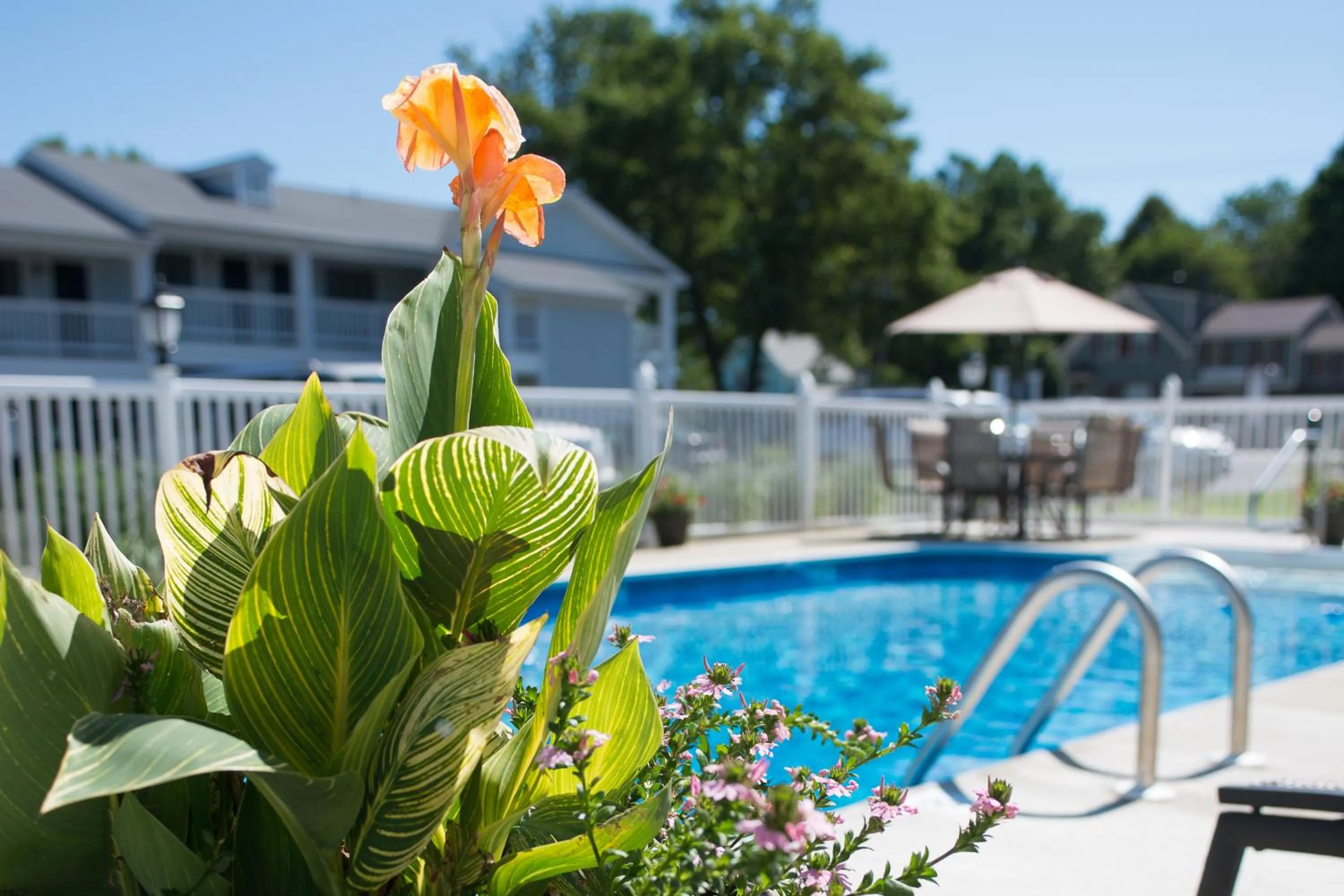 Swimming pool in Port Inn & Suites Kennebunk, an Ascend Collection Hotel