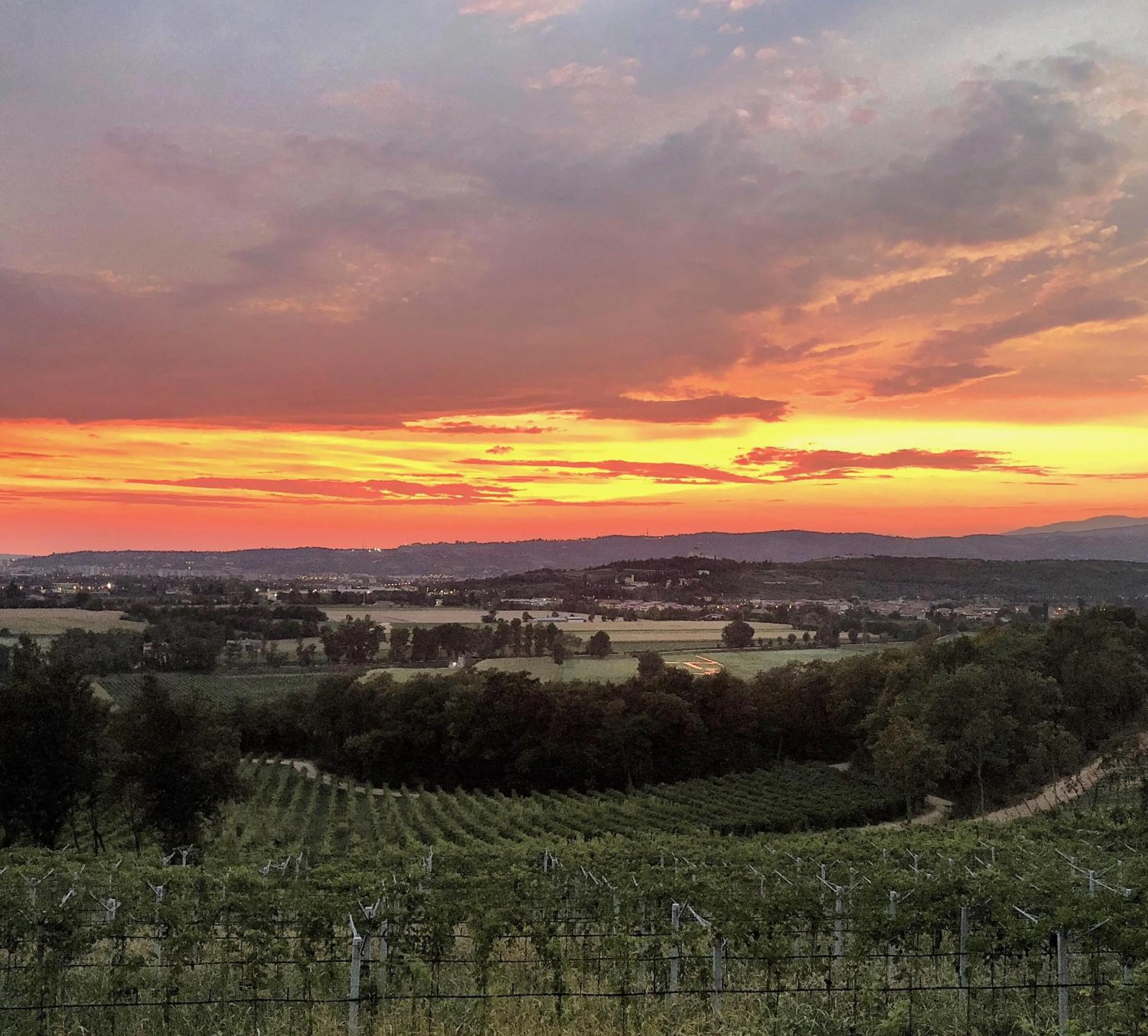 Garden in Musella Winery & Relais