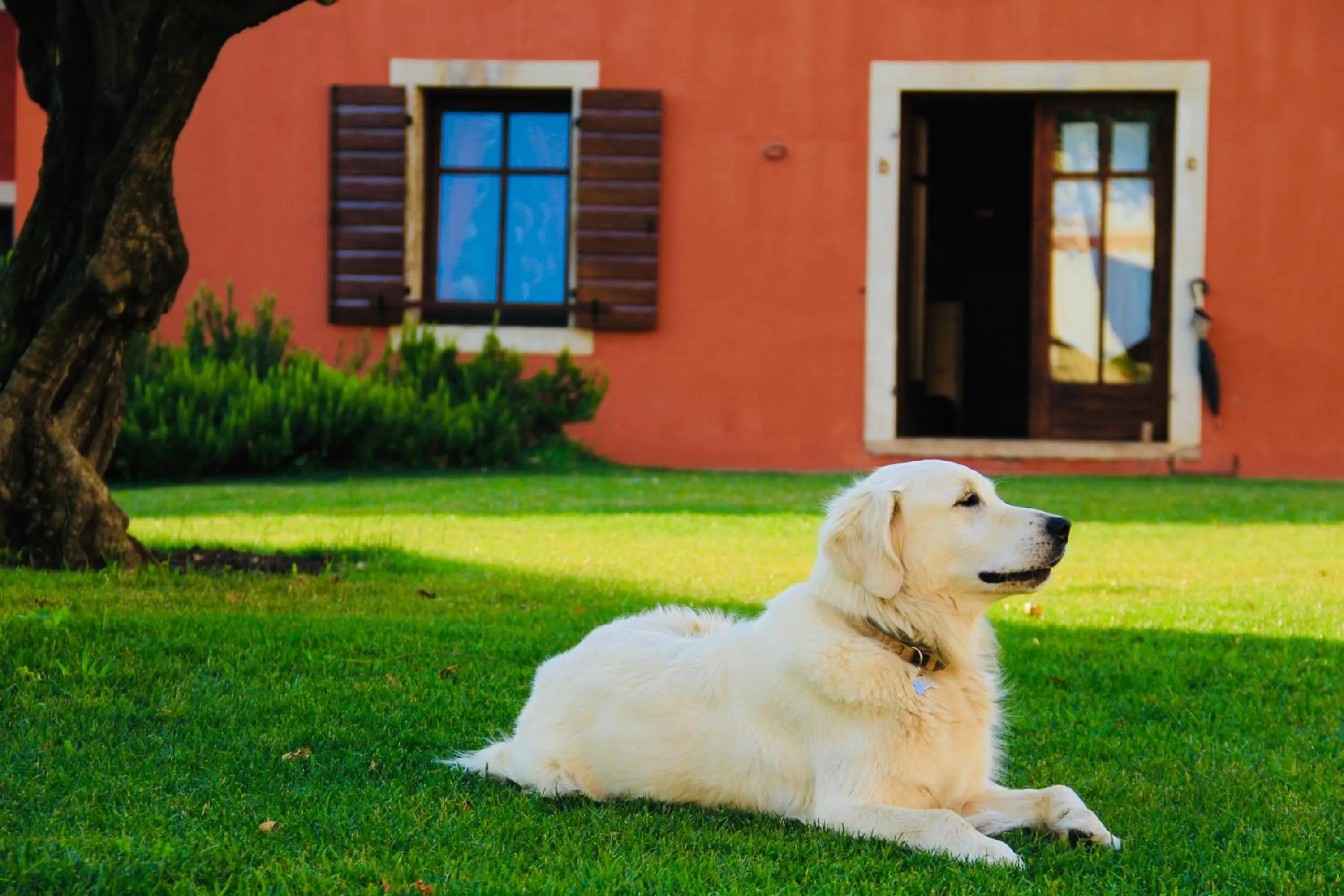 Garden in Musella Winery & Relais